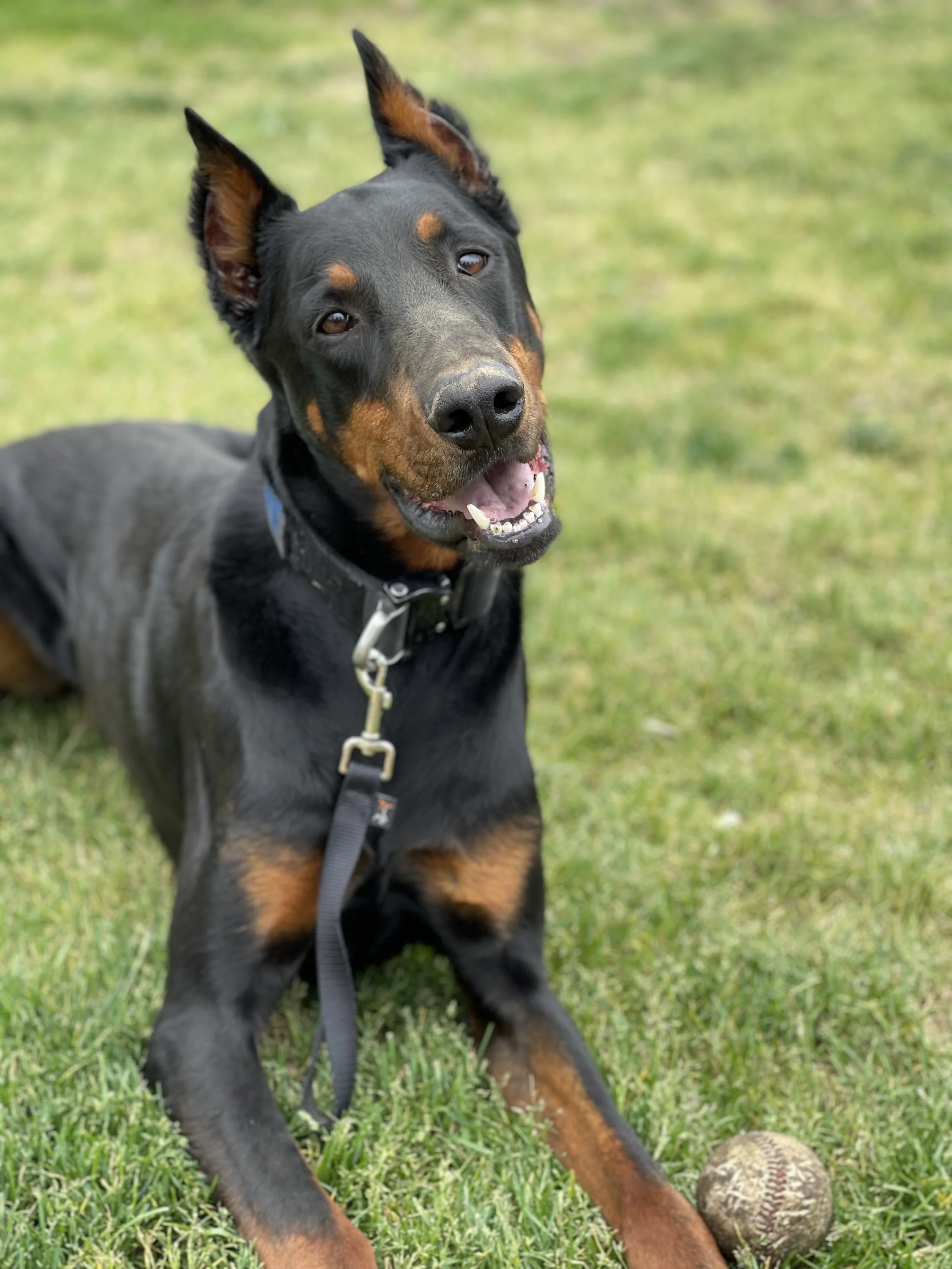 Private One-on-One Training