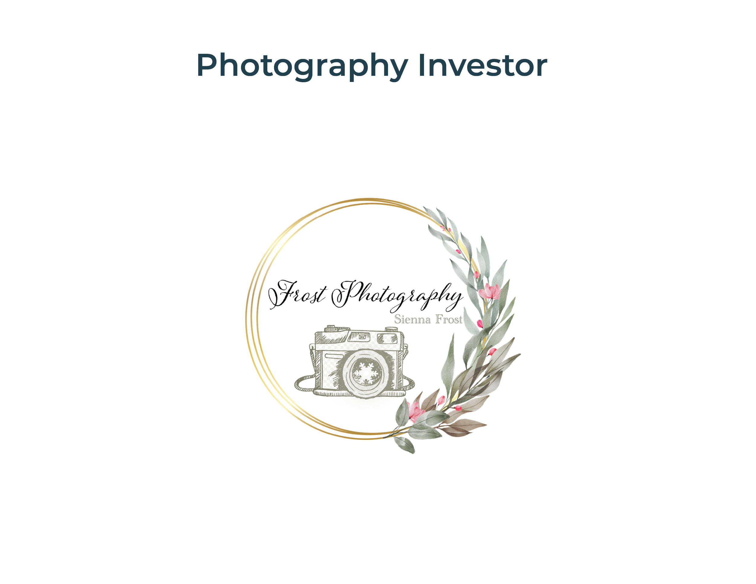 PhotographyInvestor.png