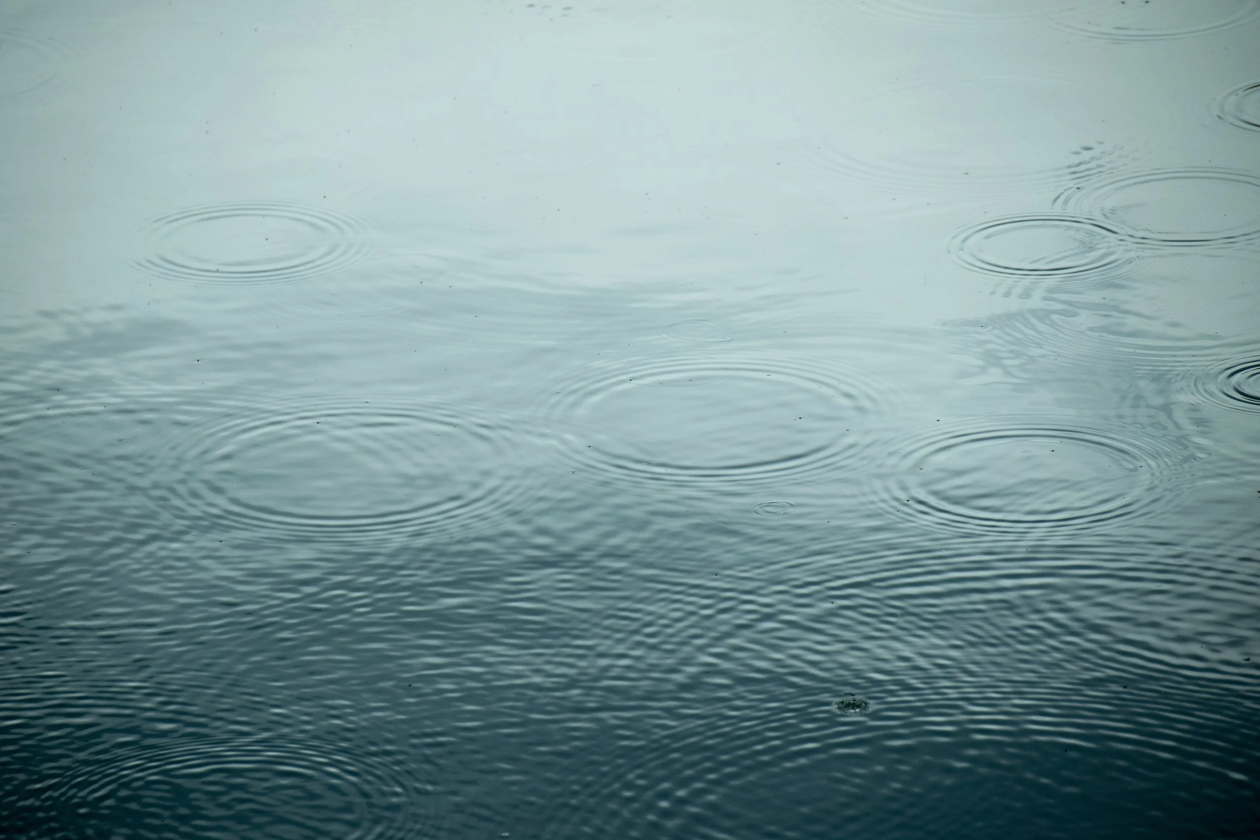 Blended Families: A New Ark | Water