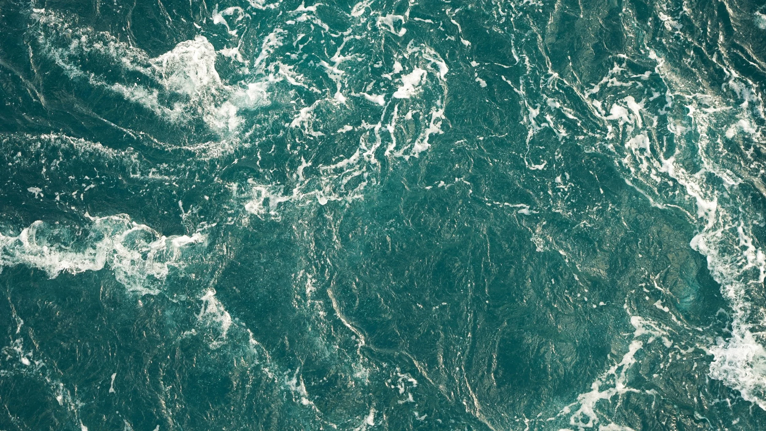 Blended Families: A New Ark | Ocean overhead