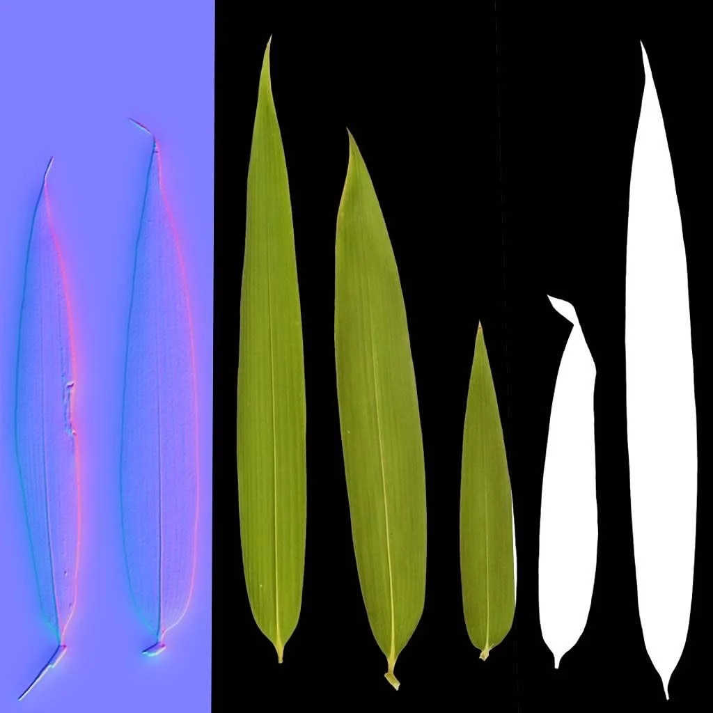 3B8F1E6B-293E-4F59-92EA-34568ECF2220.jpg