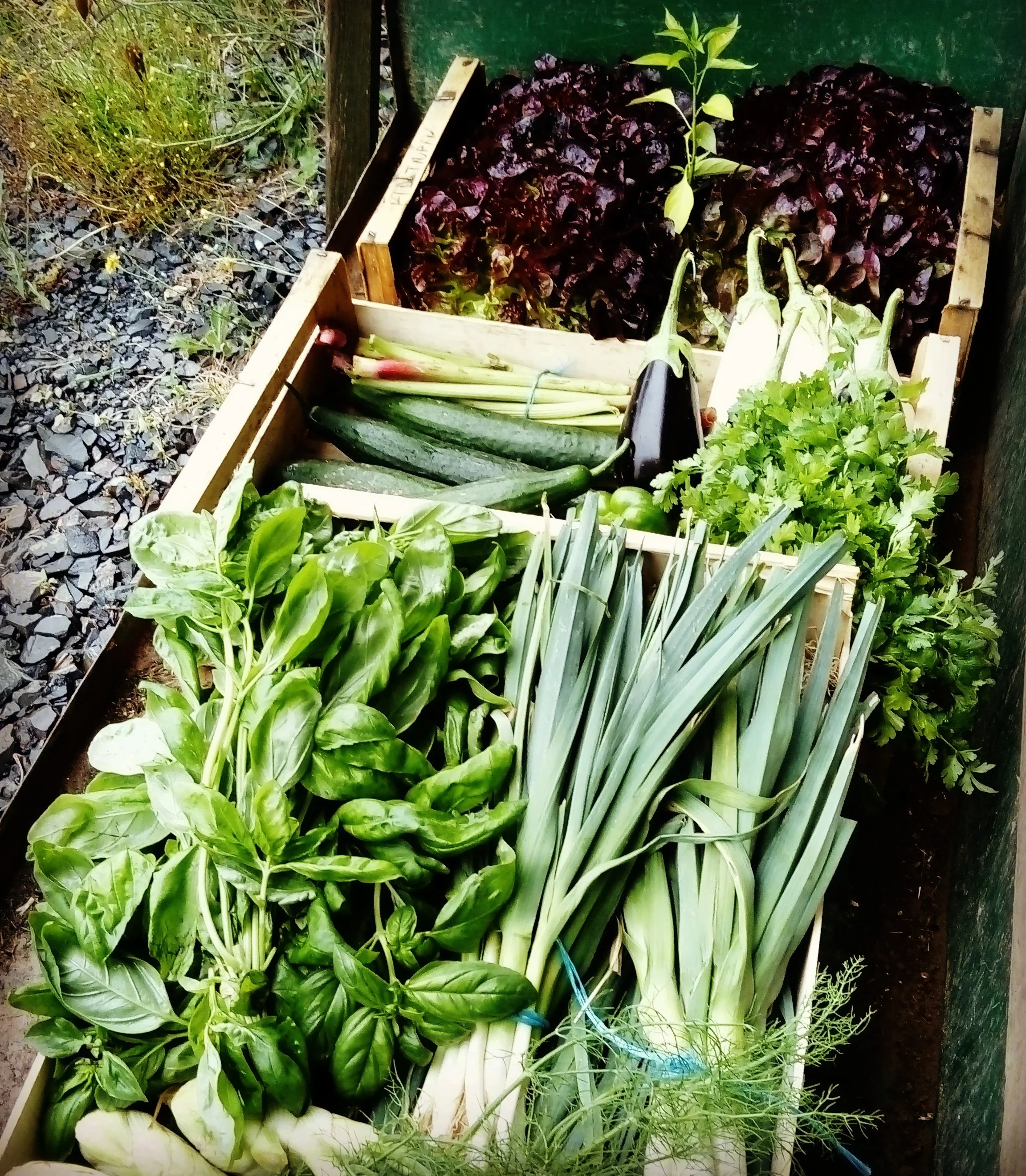 L'Ayurvéda inspire une alimentation saine et consciente, mettant en avant des ingrédients locaux, des épices bénéfiques et des techniques de préparation simples.