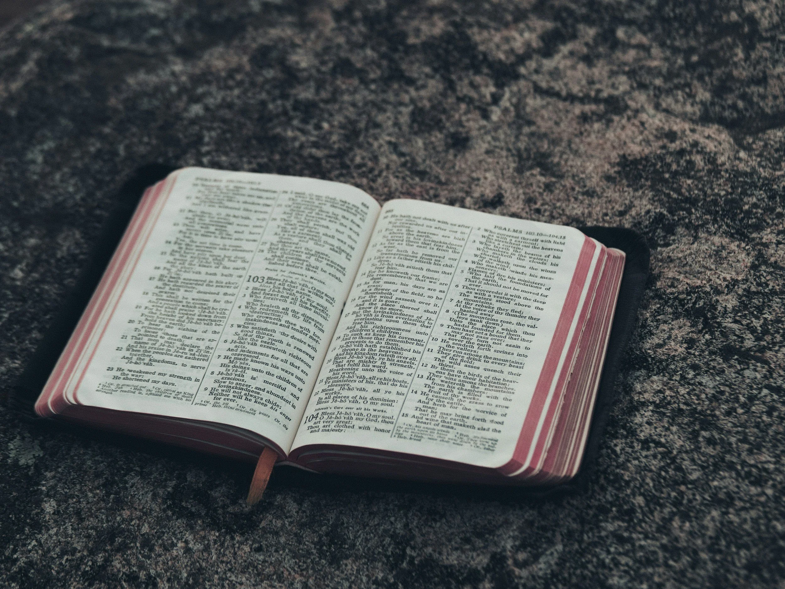 Day 7: Genesis 20-22