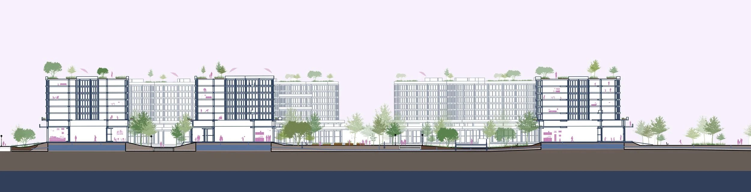 WEST - EAST TRANSECT 1