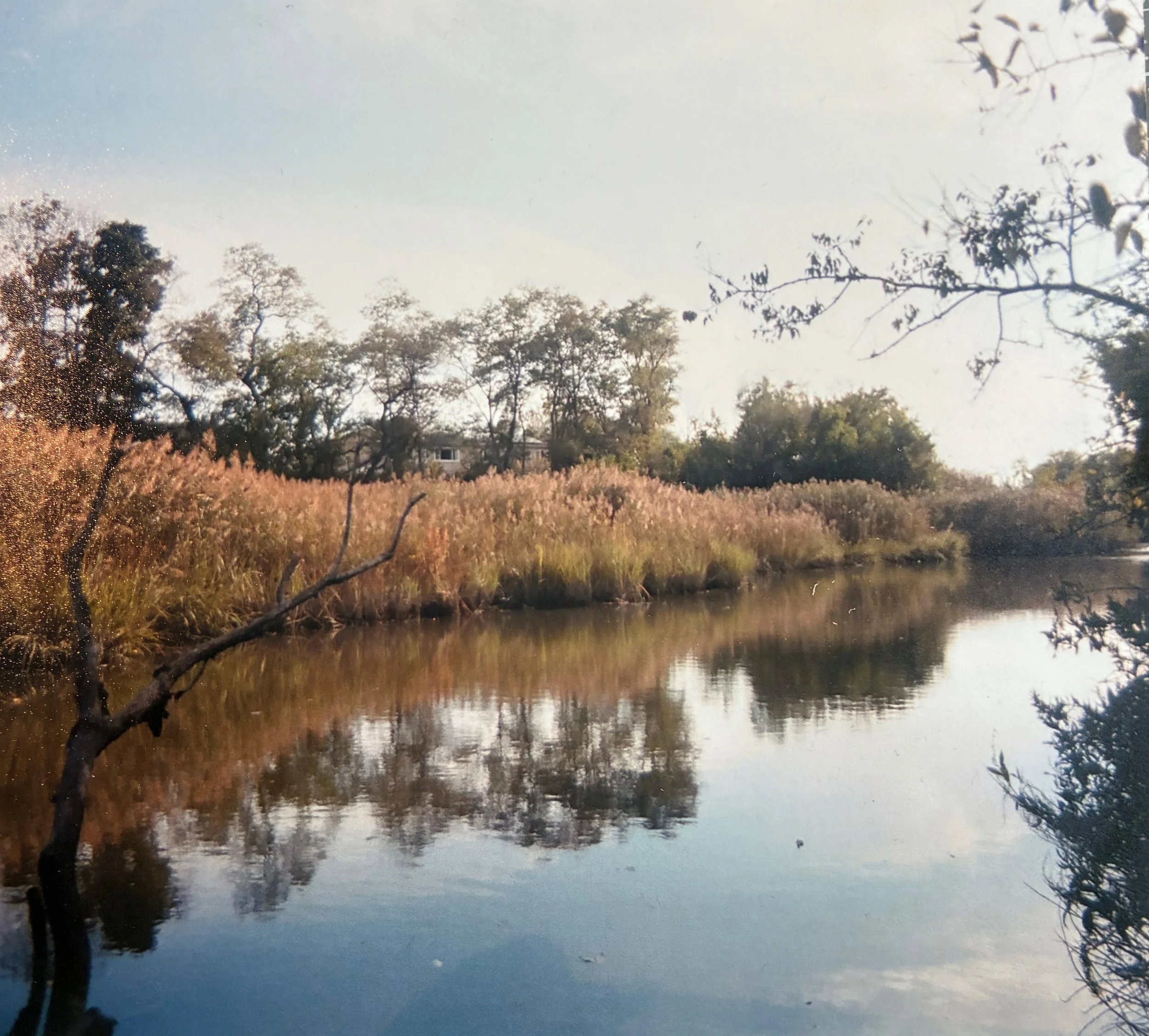 SPRING CREEK SOUTH OF THE SITE - IMAGE BY MICHAEL CHAVIRA