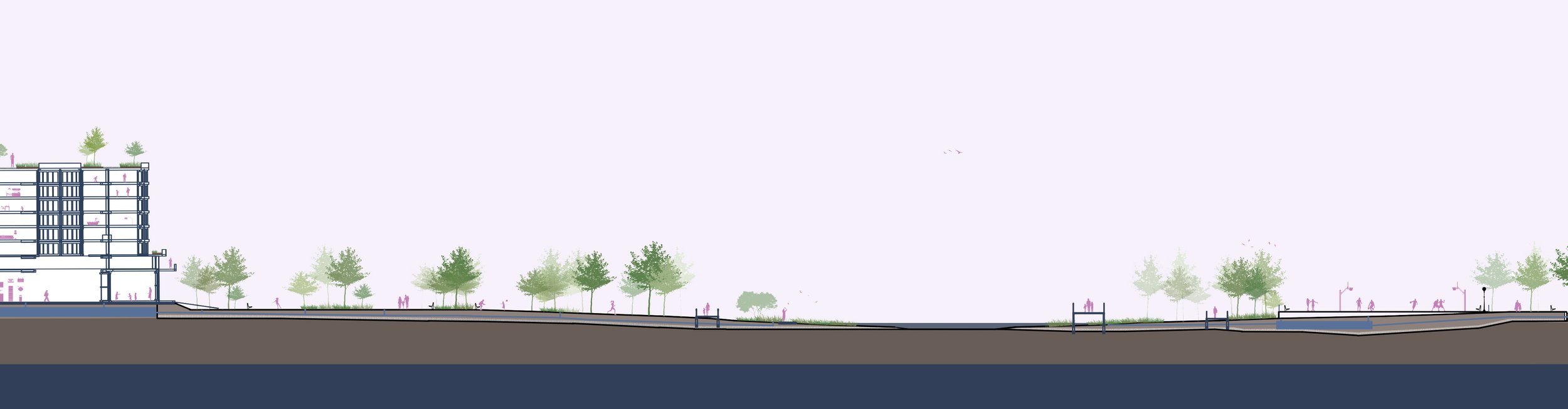 WEST - EAST TRANSECT 2