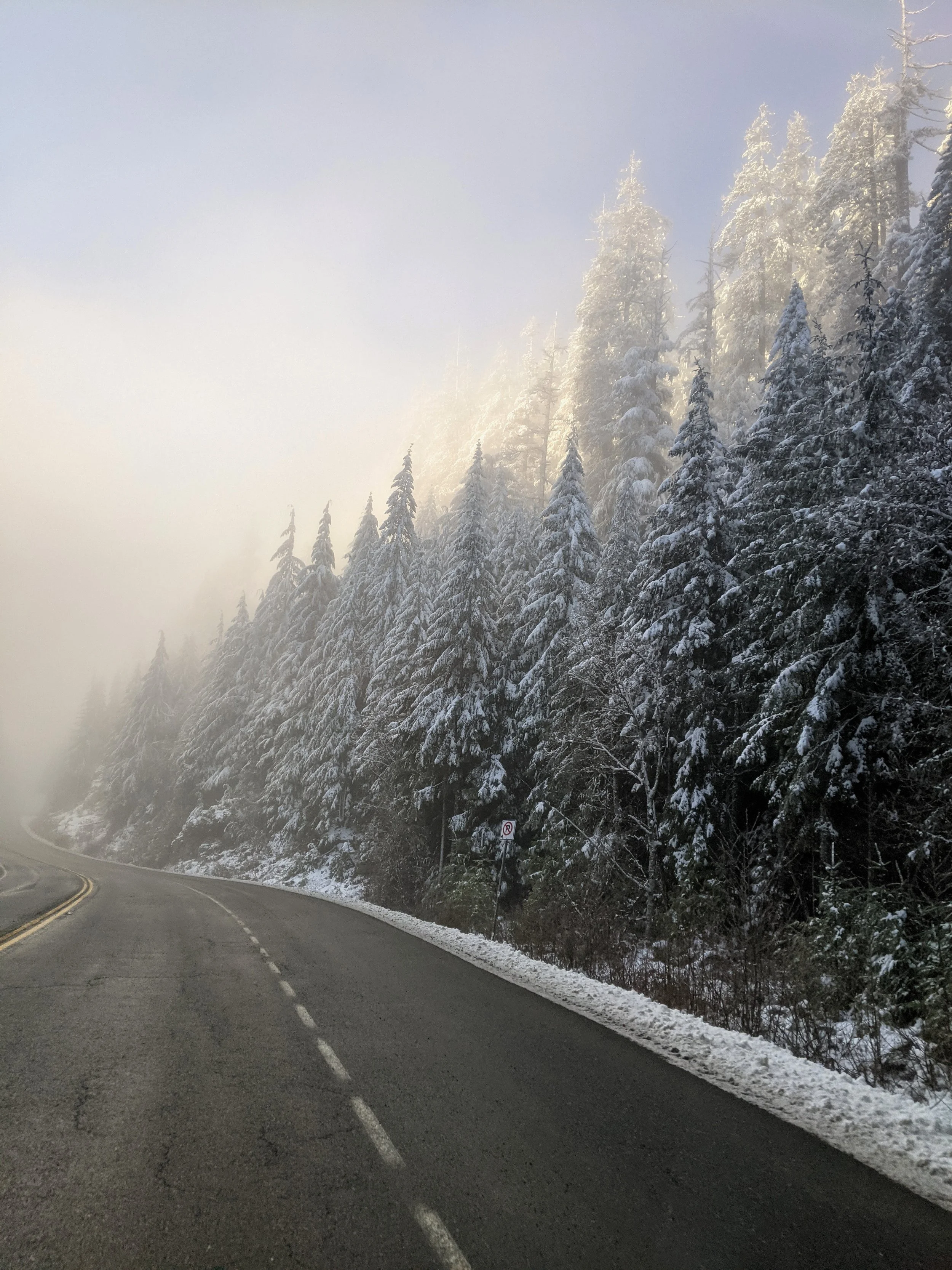 VANCOUVER ISLAND, CANADA. 2022.