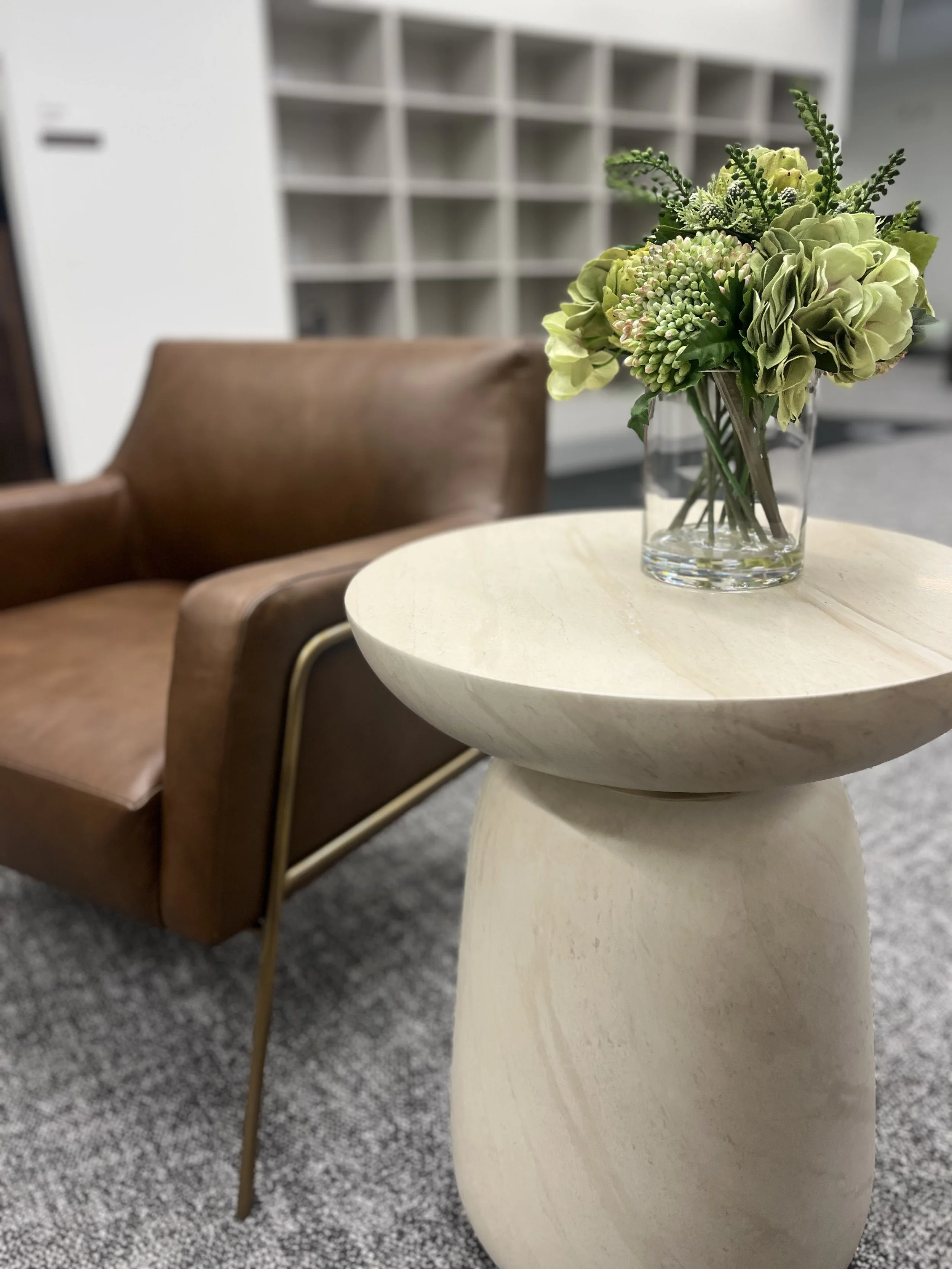 The Capital Persuasion Project