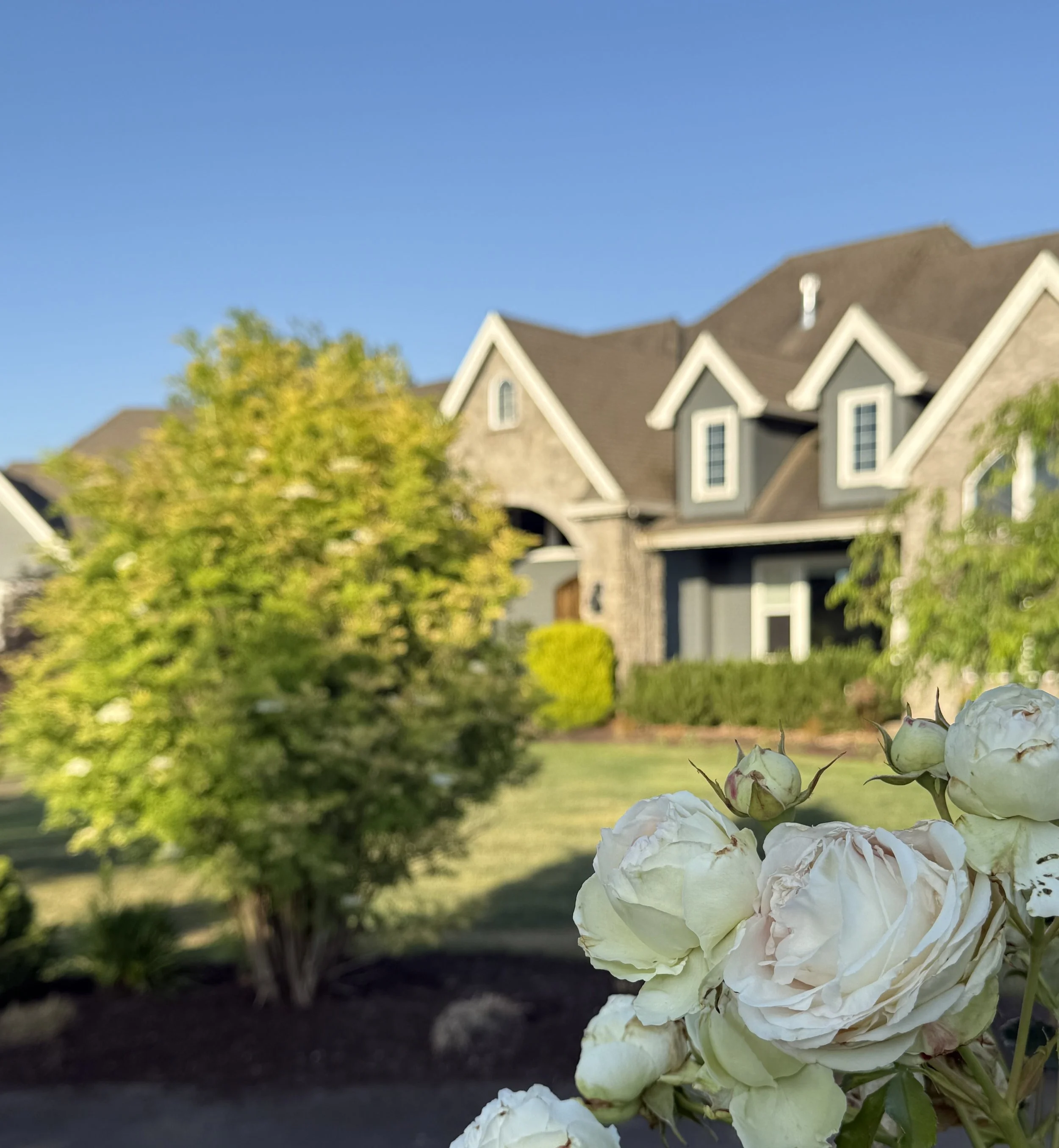 The Equestrian Estate