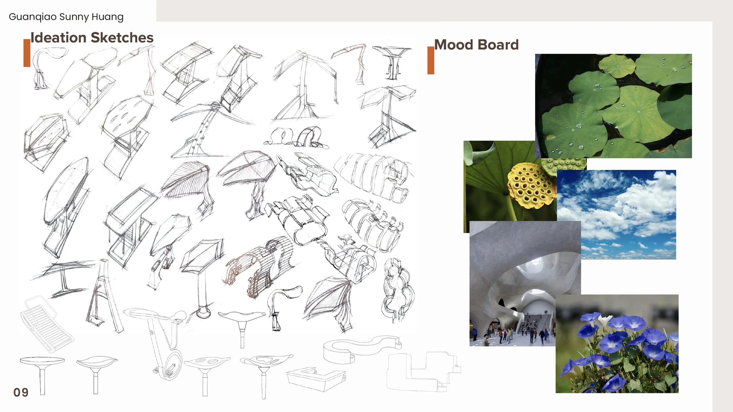 Image 7-21-25 at 13.49.jpg