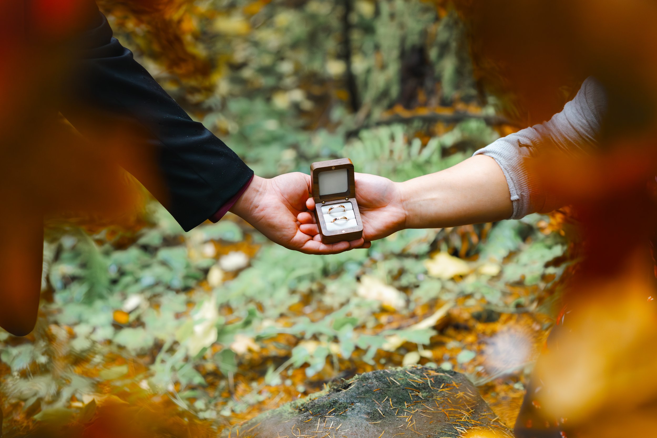 Two people exchanging a small jewelry box with rings inside in an outdoor setting, surrounded by autumn leaves.