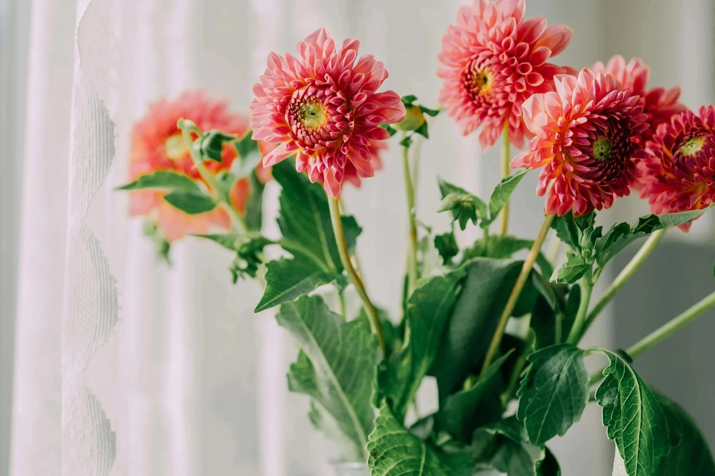 When the Loss Shakes Everything You Built: Grief Counseling for Women in Sacramento, CA