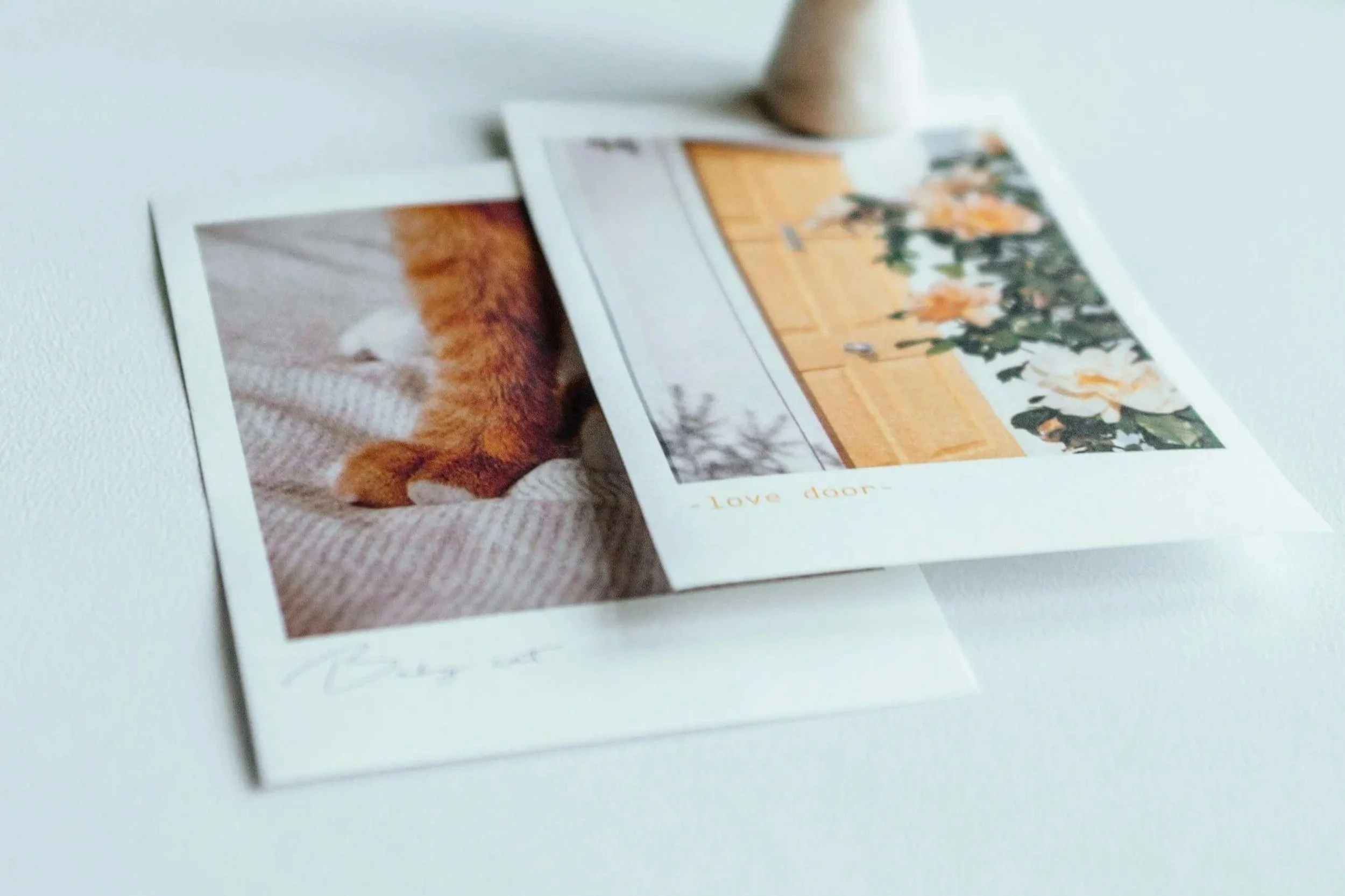 Honoring a Beloved Pet Through Art and Ritual: Working With a Grief Therapist for Pet Loss in Sacramento, CA