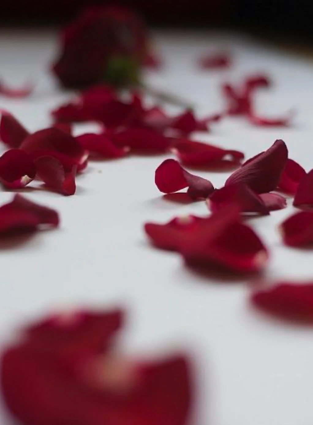 Premium Rose Petal Package Add On