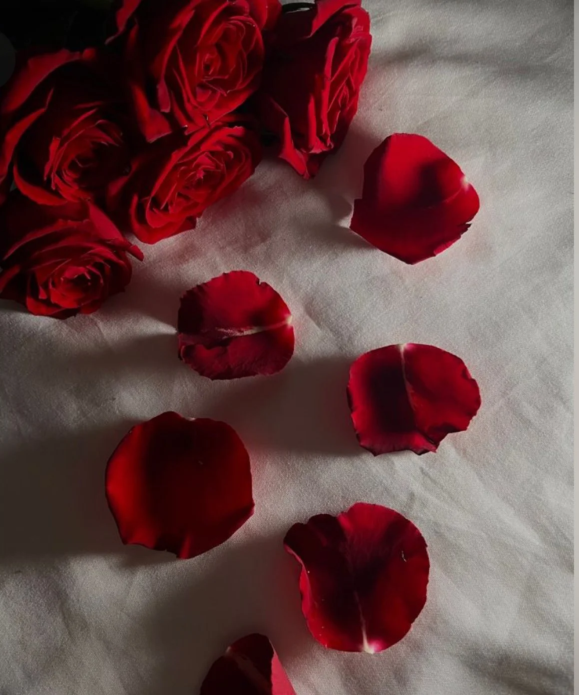 Premium Rose Petal Package Add On