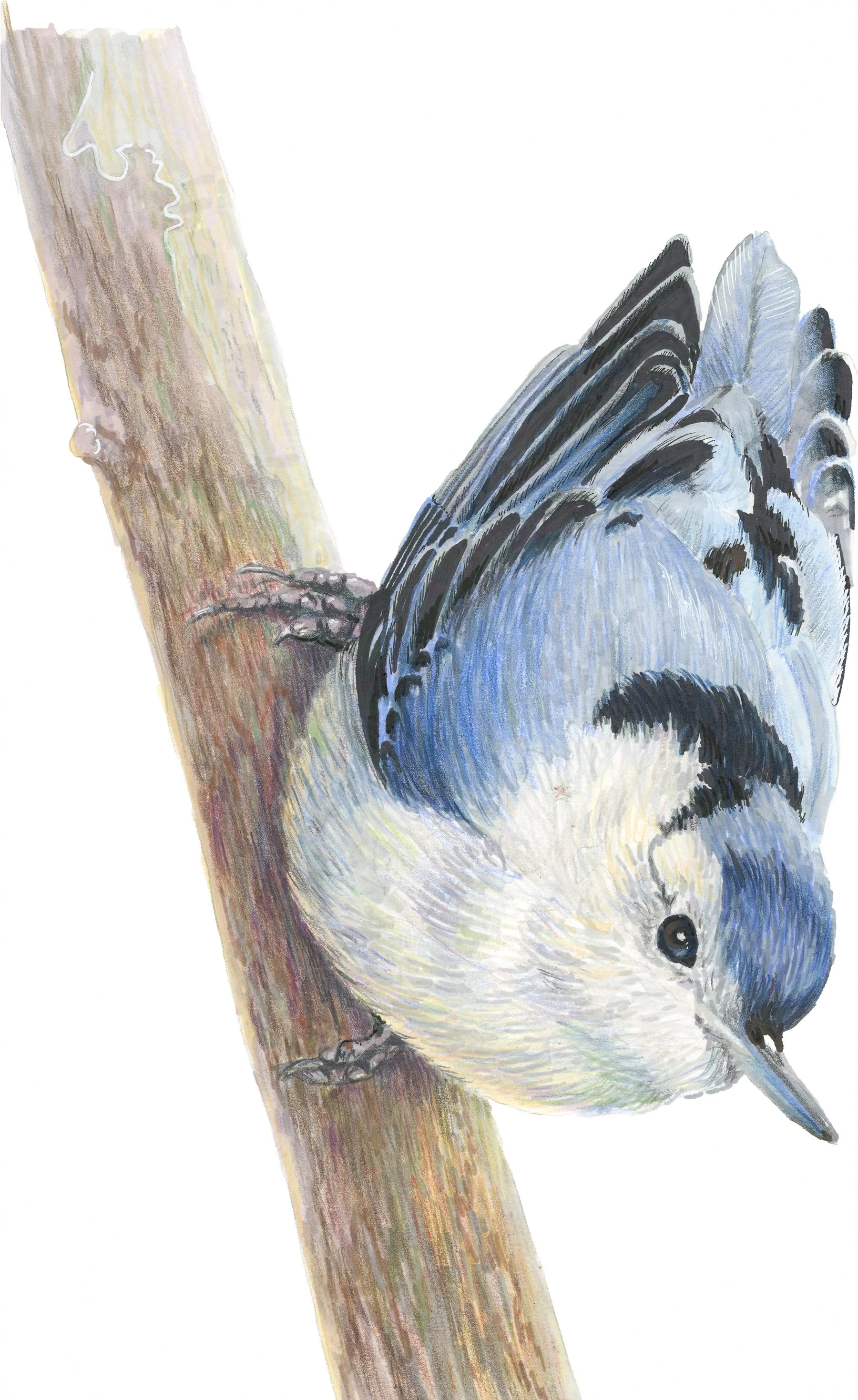 Defiance and Suspicion