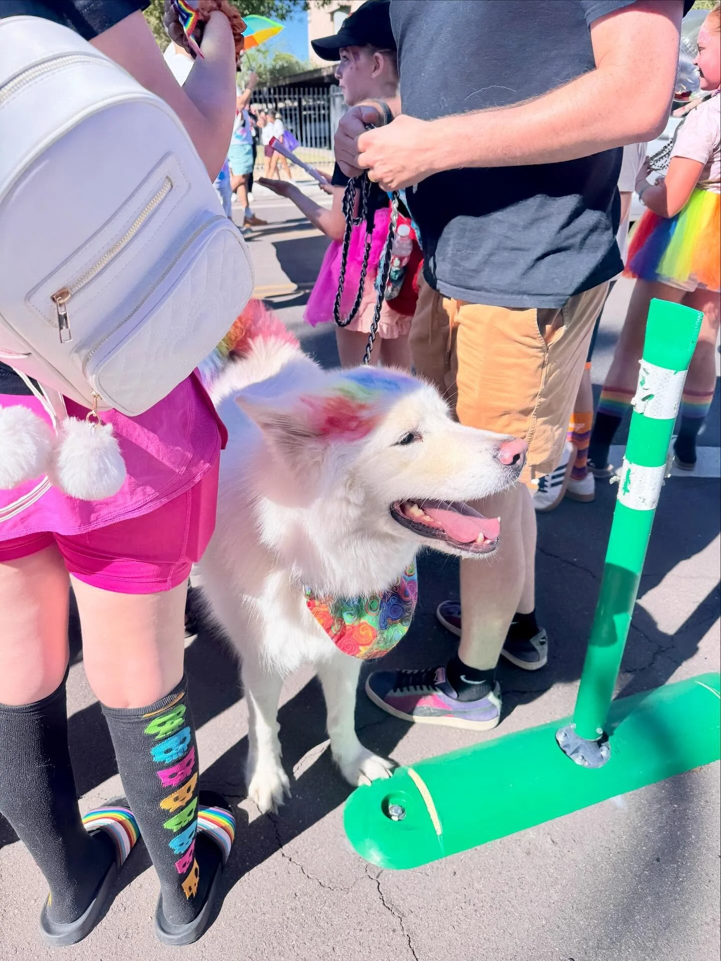 We believe kindness, love, equality, and acceptance make the world rad 🏳️&zwj;🌈

Rad Dog won&rsquo;t just be a place, but a community that does good and makes our city a better place through social impact, partnering with rescues &amp; nonprofits, 