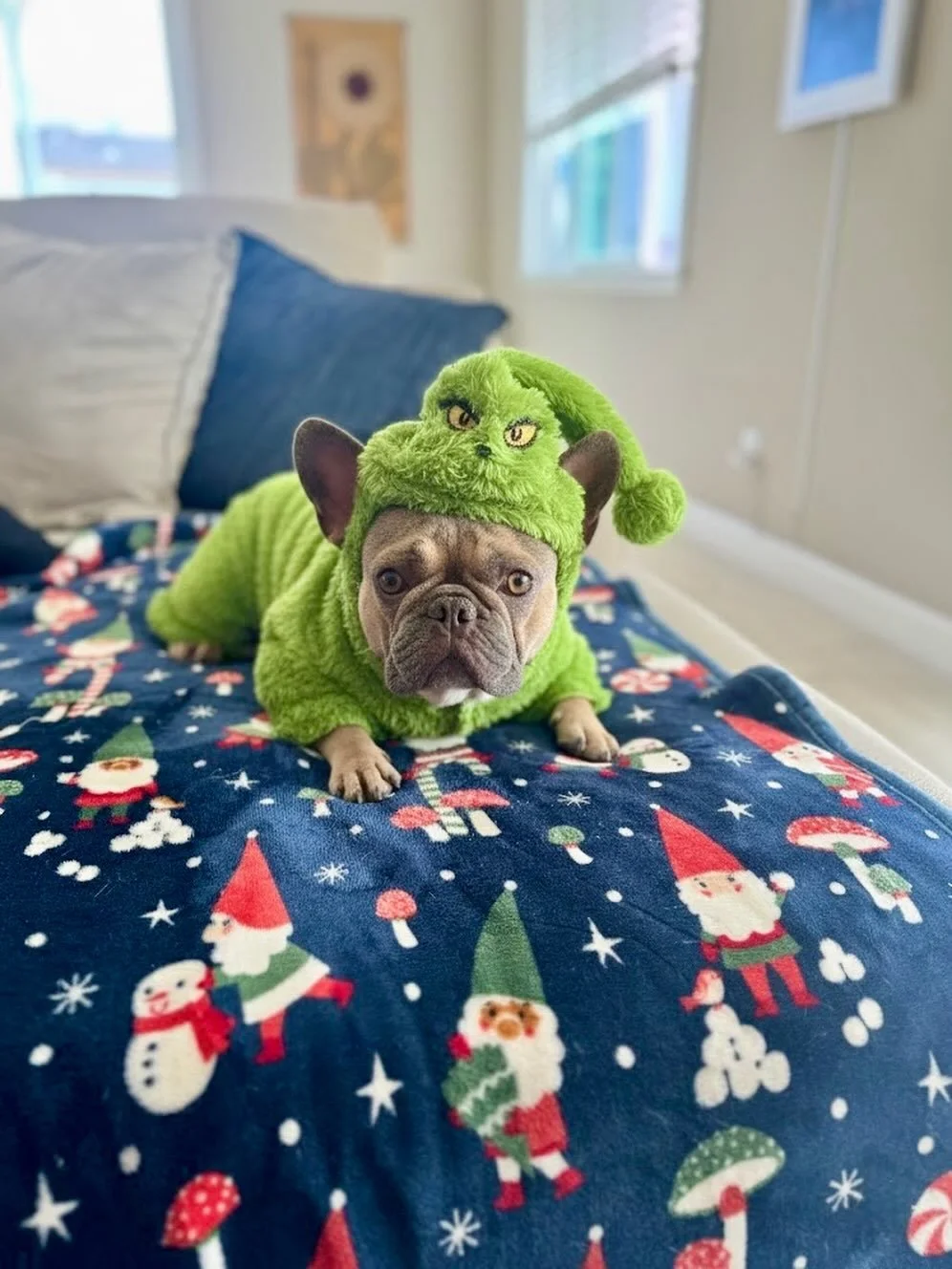 Feliz Naughty Dog 🎶 from Founding Rad Dog, Gotti! 

Small body, big crimes, permanent Naughty List Legend. 🤘 

Happy holidays to you and your pack, from ours!