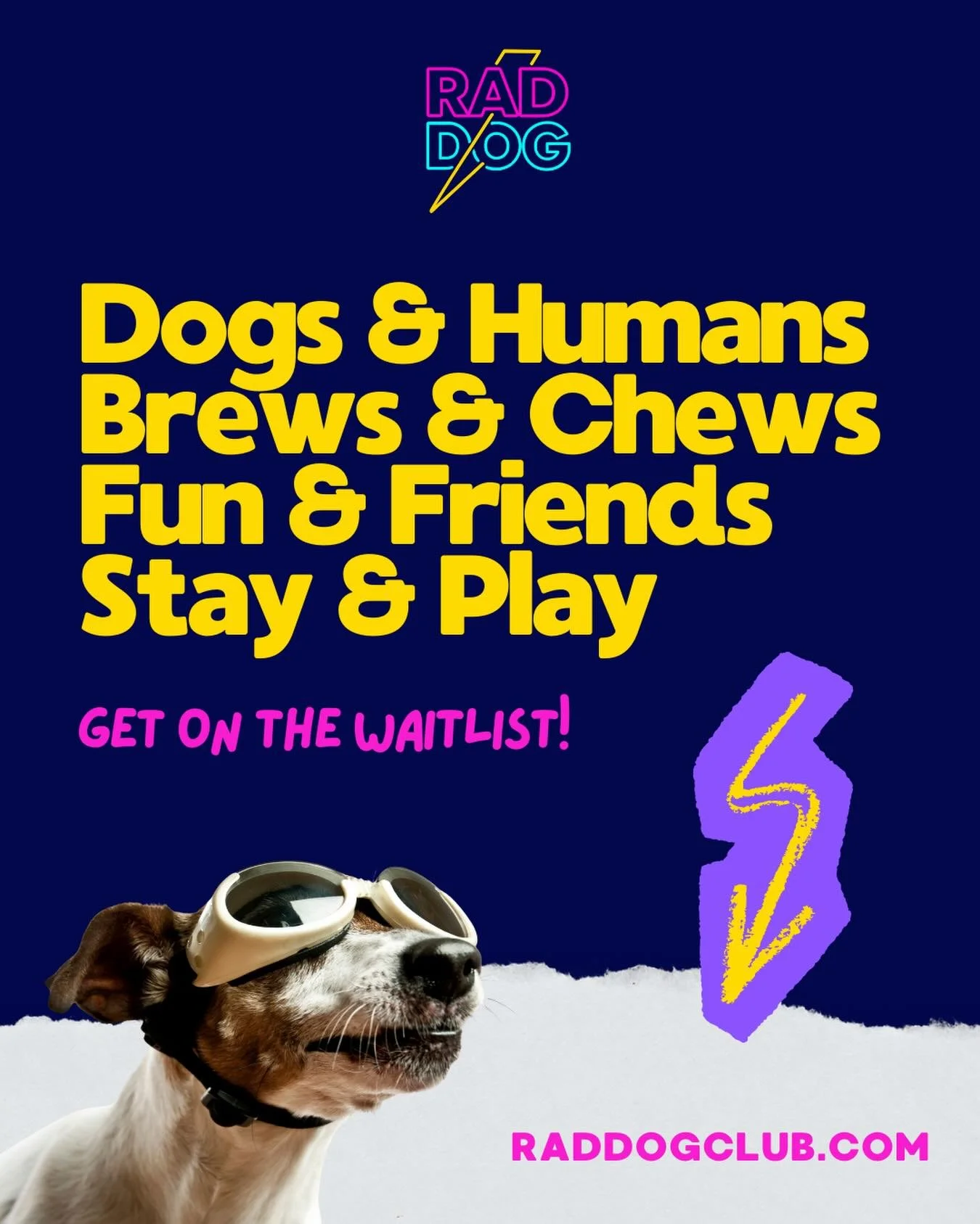 Happy chew years, Rad Dogs. 

We believe in good dogs and good energy.
Community and giving back. 
Playing together and making life awesome. 

And most of all, a place for humans and dogs to vibe together. 

2026: the year of the rad dog. Hit that wa