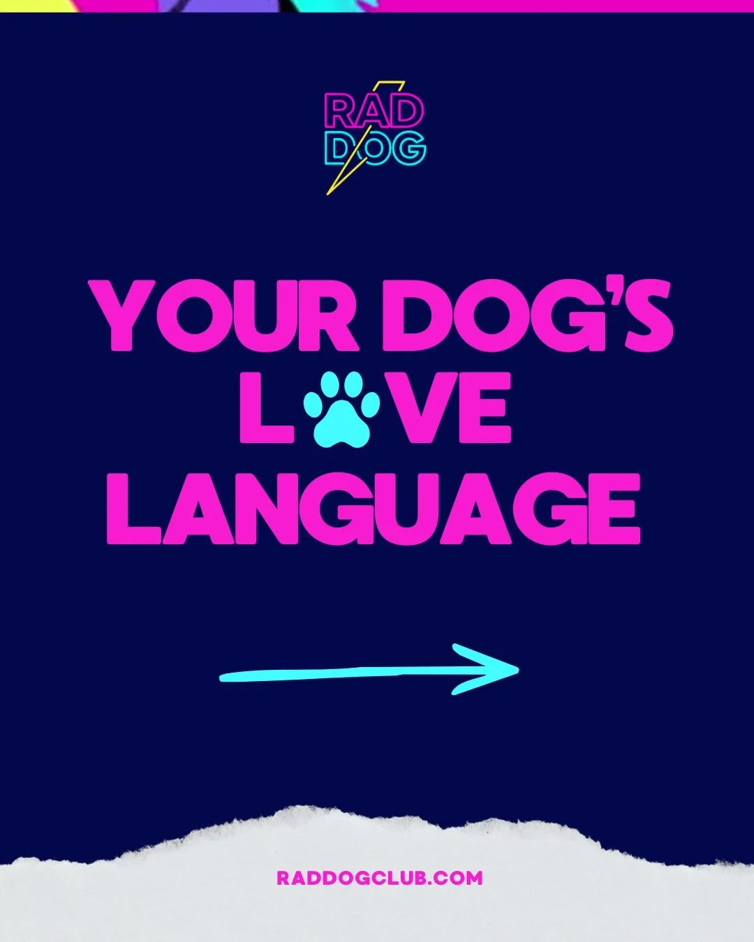 At Rad Dog, every love language is welcome. Always. 

Which is your furbabe&rsquo;s? 

Thanks for all the good vibes and endless love! 

Ps - our soulmates all have four legs. 🐶 🫶 

#phoenixaz #phoenixdogs #phoenixdogparks #indoordogpark