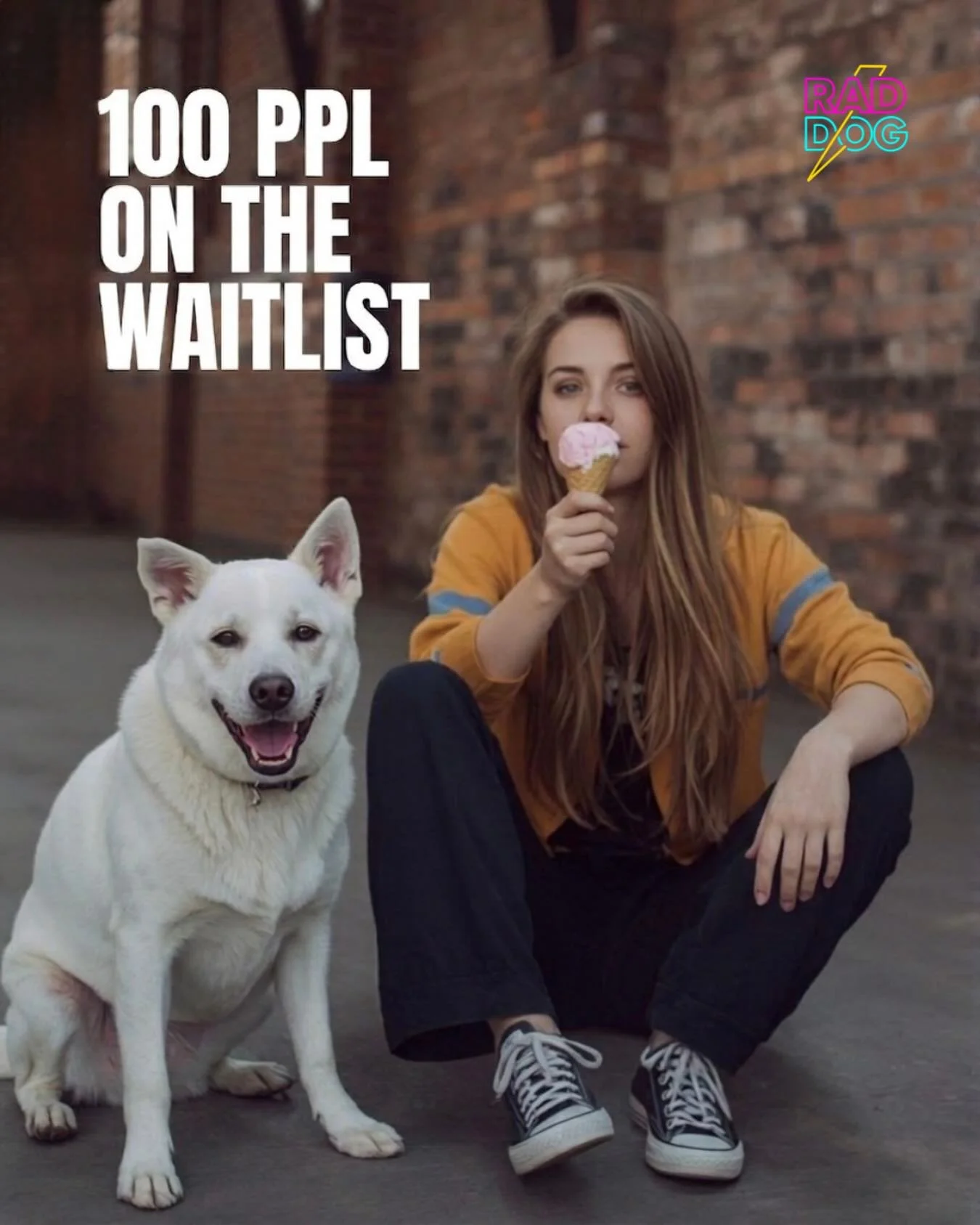 The dogs already said yes 
You coming or what? 

#indoordogpark #phoenixdogs #phoenixdogparks #scottsdaledogs