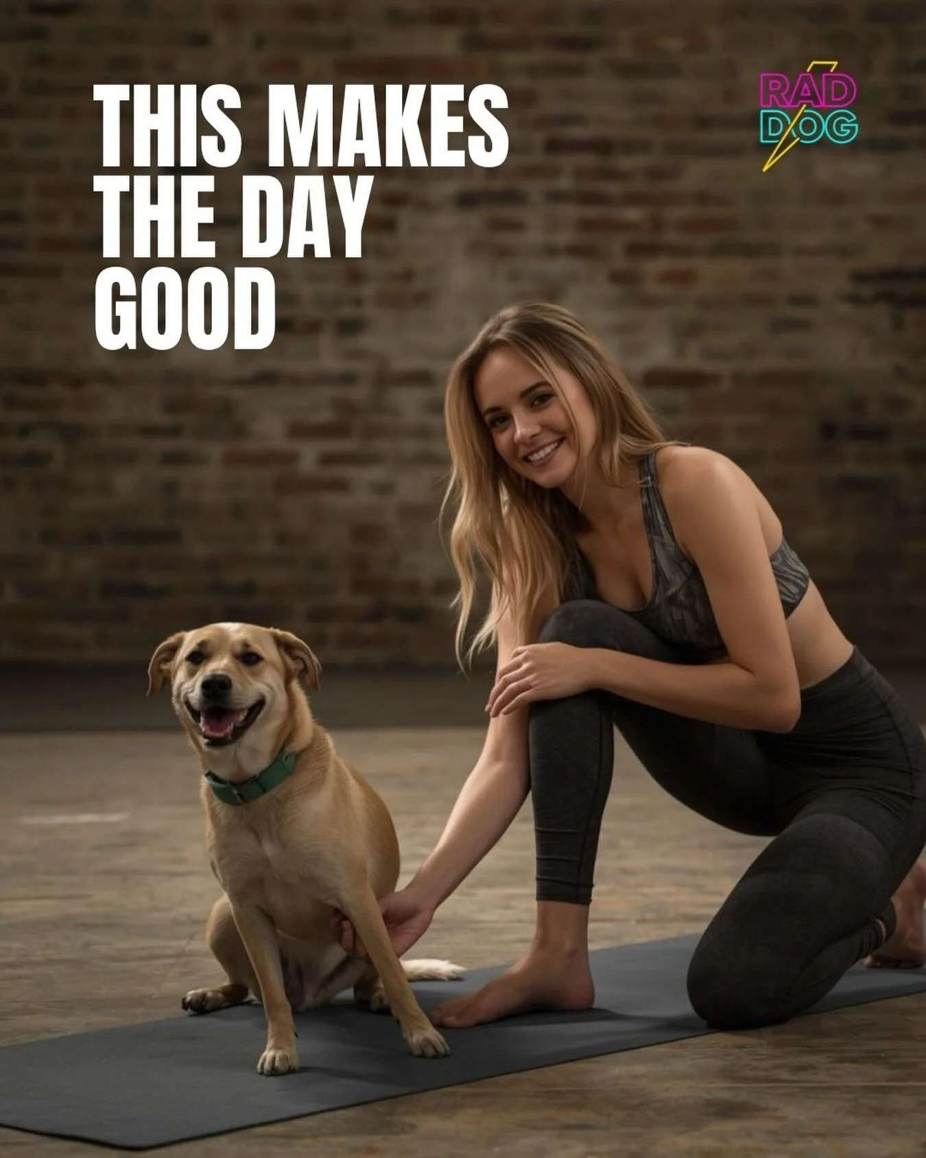 Feel your best with your bestie. 

What&rsquo;s coming: yoga and wellness classes, coworking, good energy events, and fun for humans who love dogs. 

⚡️🦴💜

#phoenixyoga #indoordogpark #phoenixdogs #scottsdaledogs