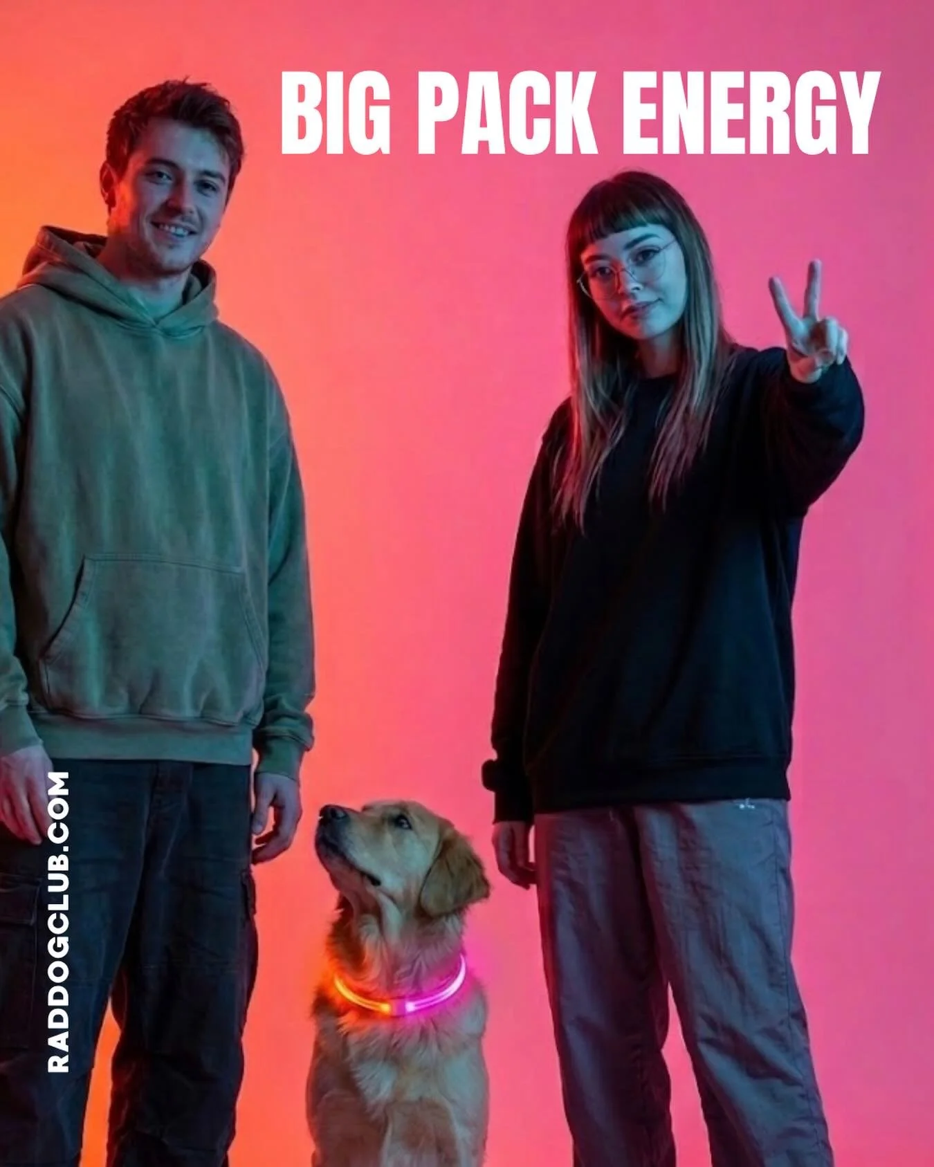 Energy speaks. The pack knows. ⚡️🦴 

You belong here. 

#phoenixdogs #scottsdaledogs #dogmoms #indoordogpark #loyal