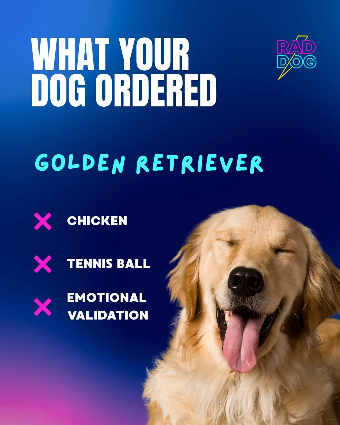 Today&rsquo;s specials: snacks, drama, attention, and one tiny security guard. 🤣⚡️💜

We now have 175+ humans and their pups. Hop on the waitlist #linkinbio and follow our journey as we push to make Rad Dog real!