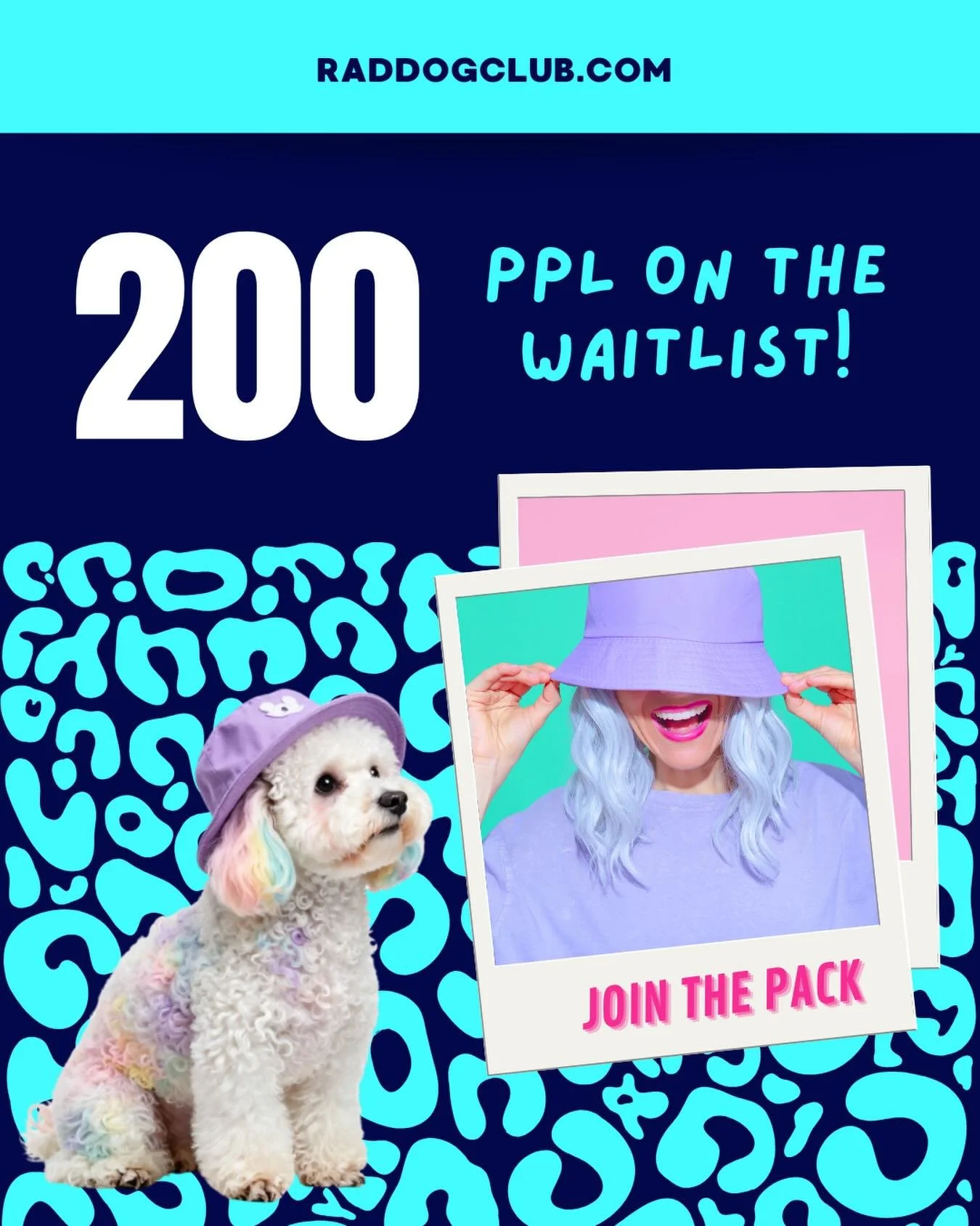 An indoor dog park filled with good vibes, good dogs, and good humans is coming. 

Hit the link in bio to get on the waitlist and make sure next summer you and your pup are chillin&rsquo; inside and having a blast together. ⚡️🦴💜

#indoordogpark #ph