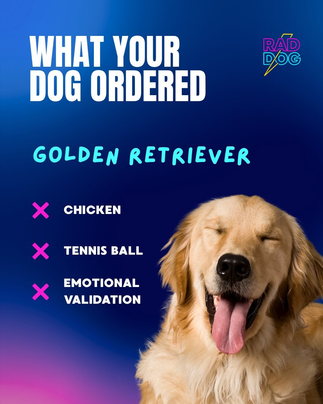 Today&rsquo;s specials: snacks, drama, attention, and one tiny security guard. 🤣⚡️💜

We now have 175+ humans and their pups on the waitlist! Join the party #linkinbio and follow our journey as we push to make Rad Dog real!