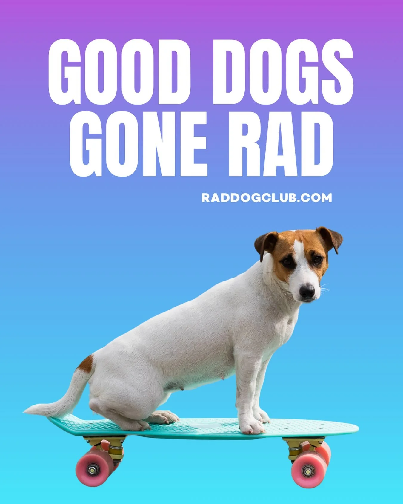 Good dogs gone rad ⚡️🦴

Phoenix, get on the list! Link in bio. 

#indoordogpark #socialclub #dogmomlife #dogdad