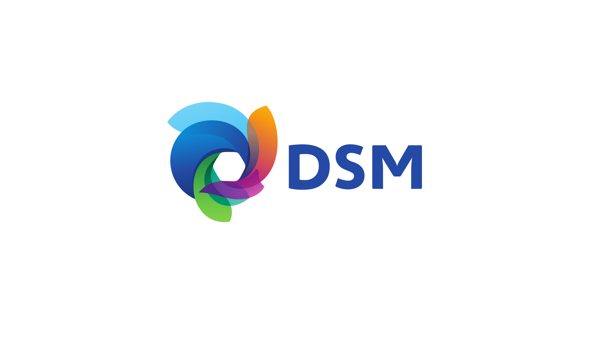 Logotipo do DSM com um desenho colorido e o texto 'DSM' ao lado