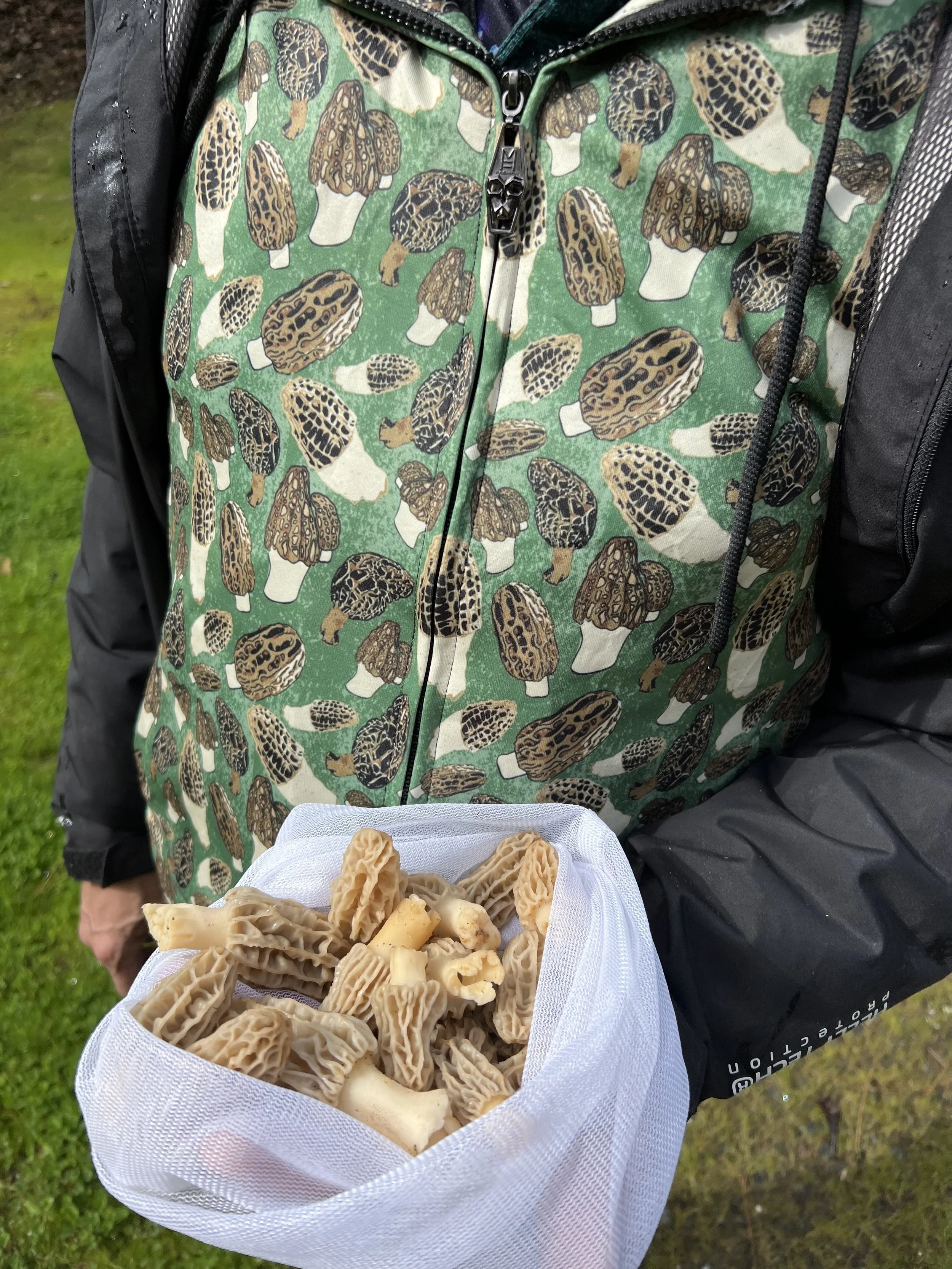 A bag of freshly harvested morels is held by a man wearing a sweatshirt with a morel camouflage design.