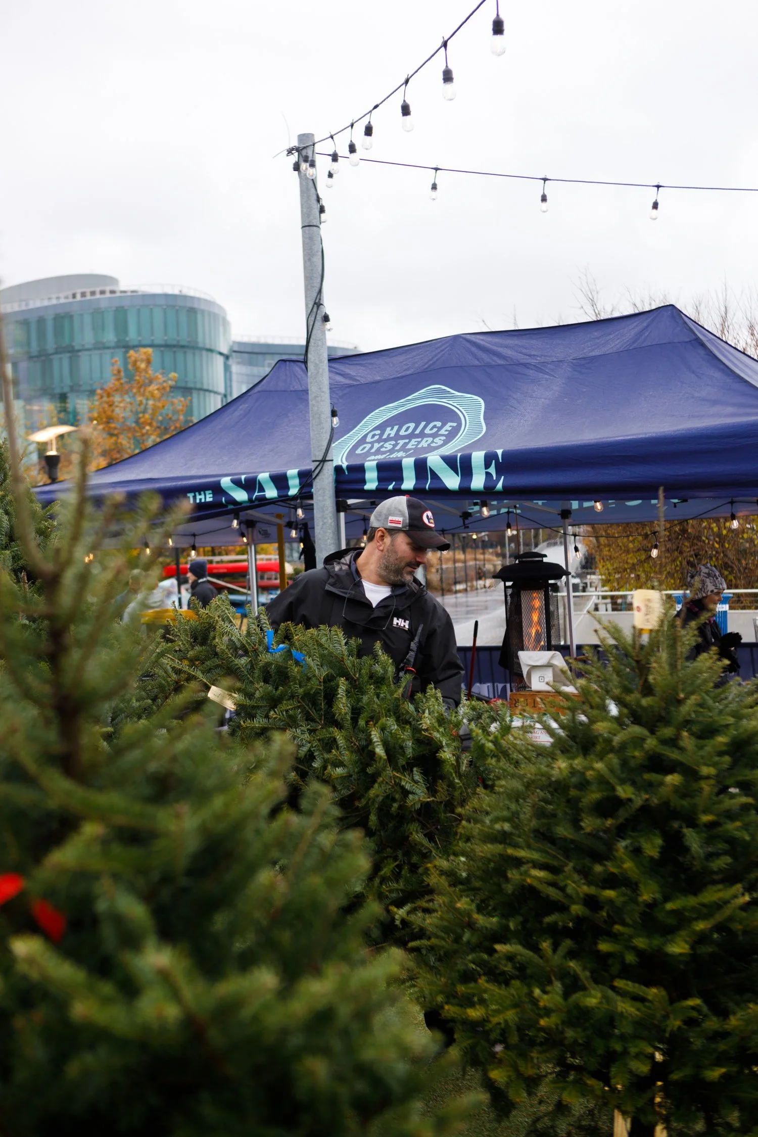 TSL-xmas-tree-lot-221203-11.jpg