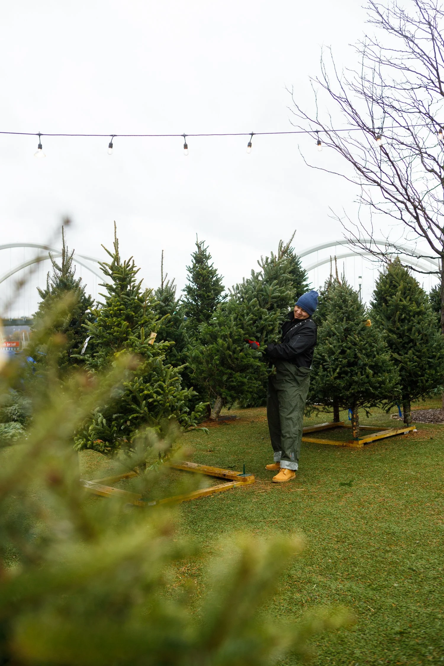 TSL-xmas-tree-lot-221203-17.jpg