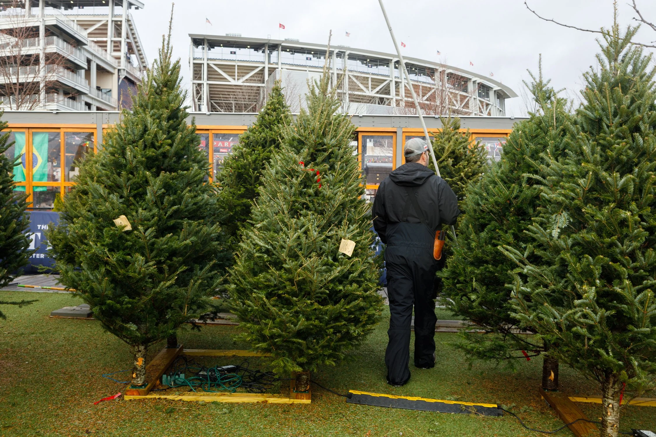 TSL-xmas-tree-lot-221203-20.jpg