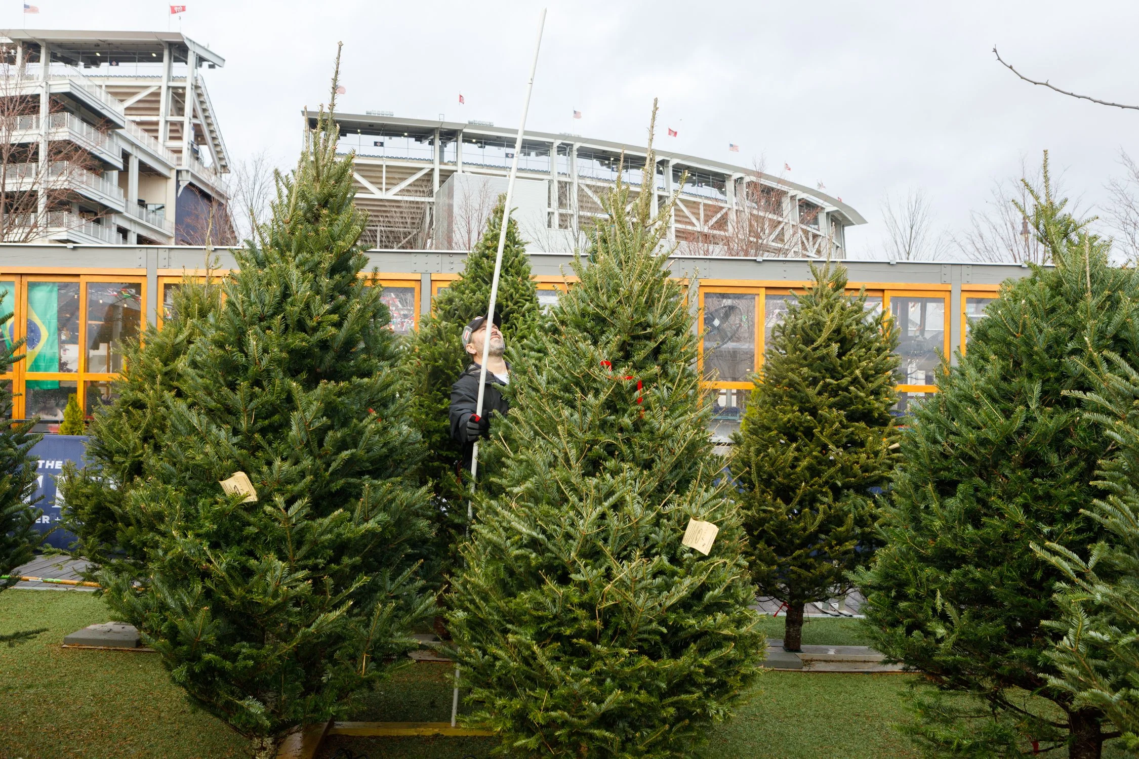 TSL-xmas-tree-lot-221203-21.jpg