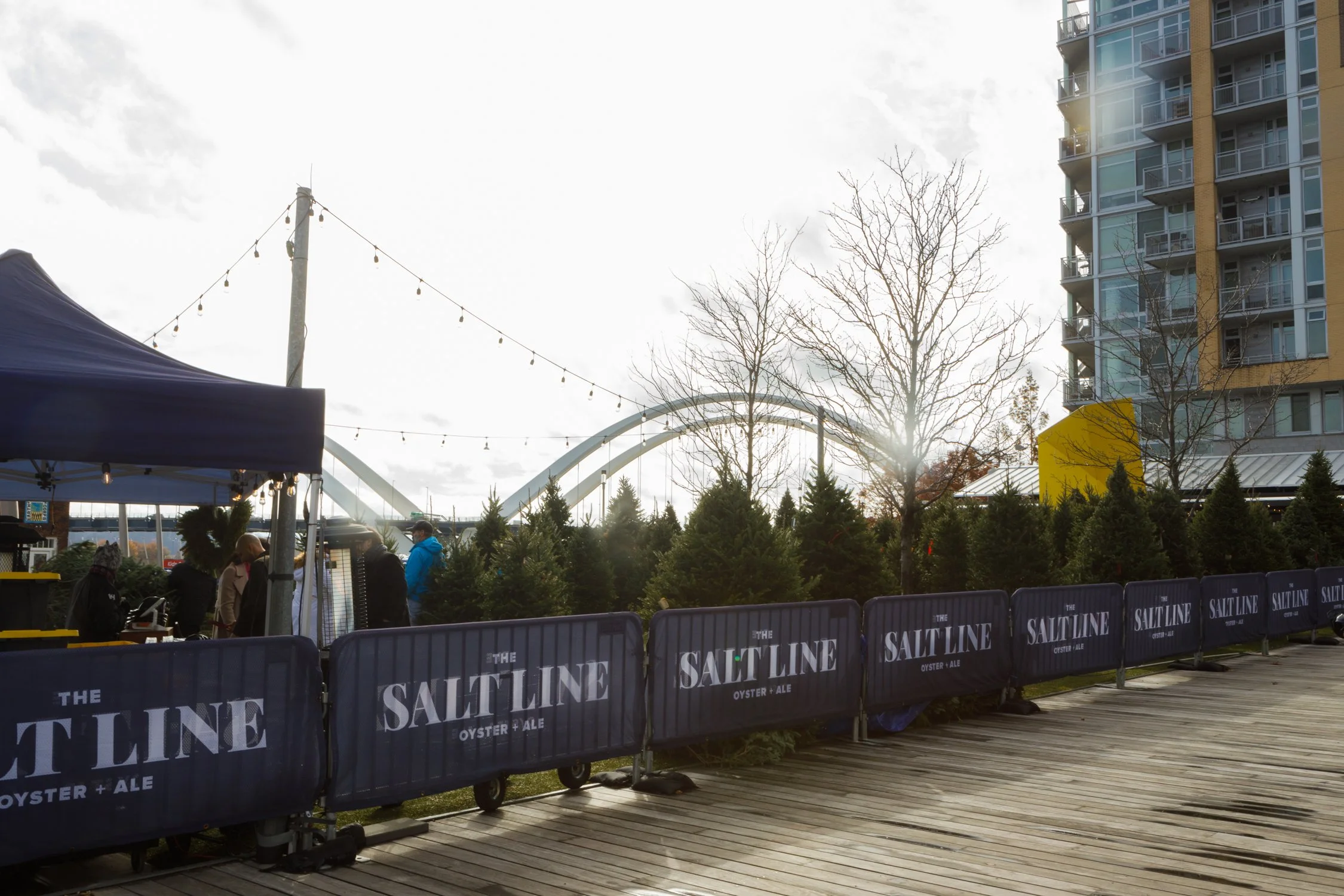 TSL-xmas-tree-lot-221203-33.jpg