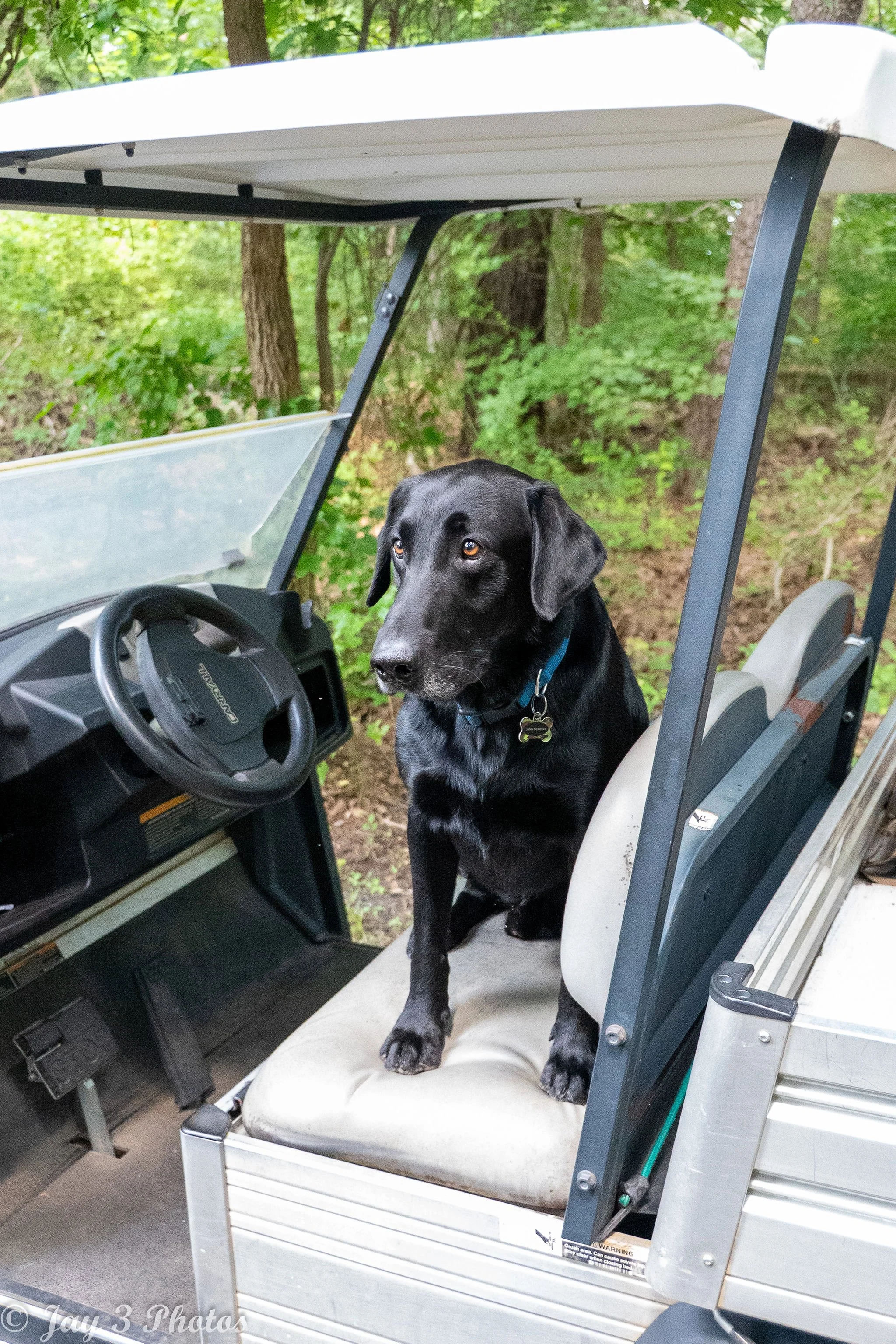 SportingClays(48of96).jpg