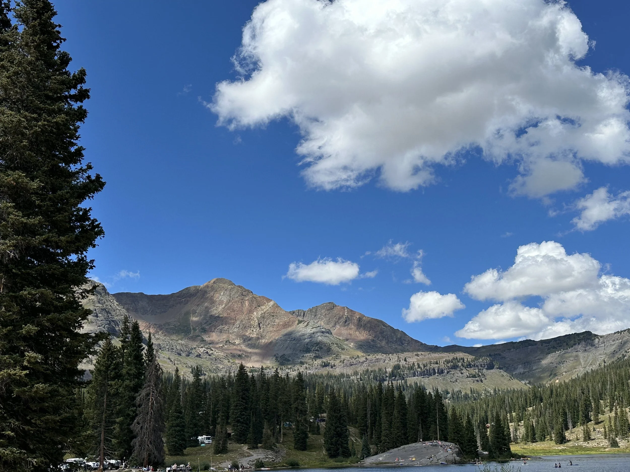 IMG_8946.jpeg