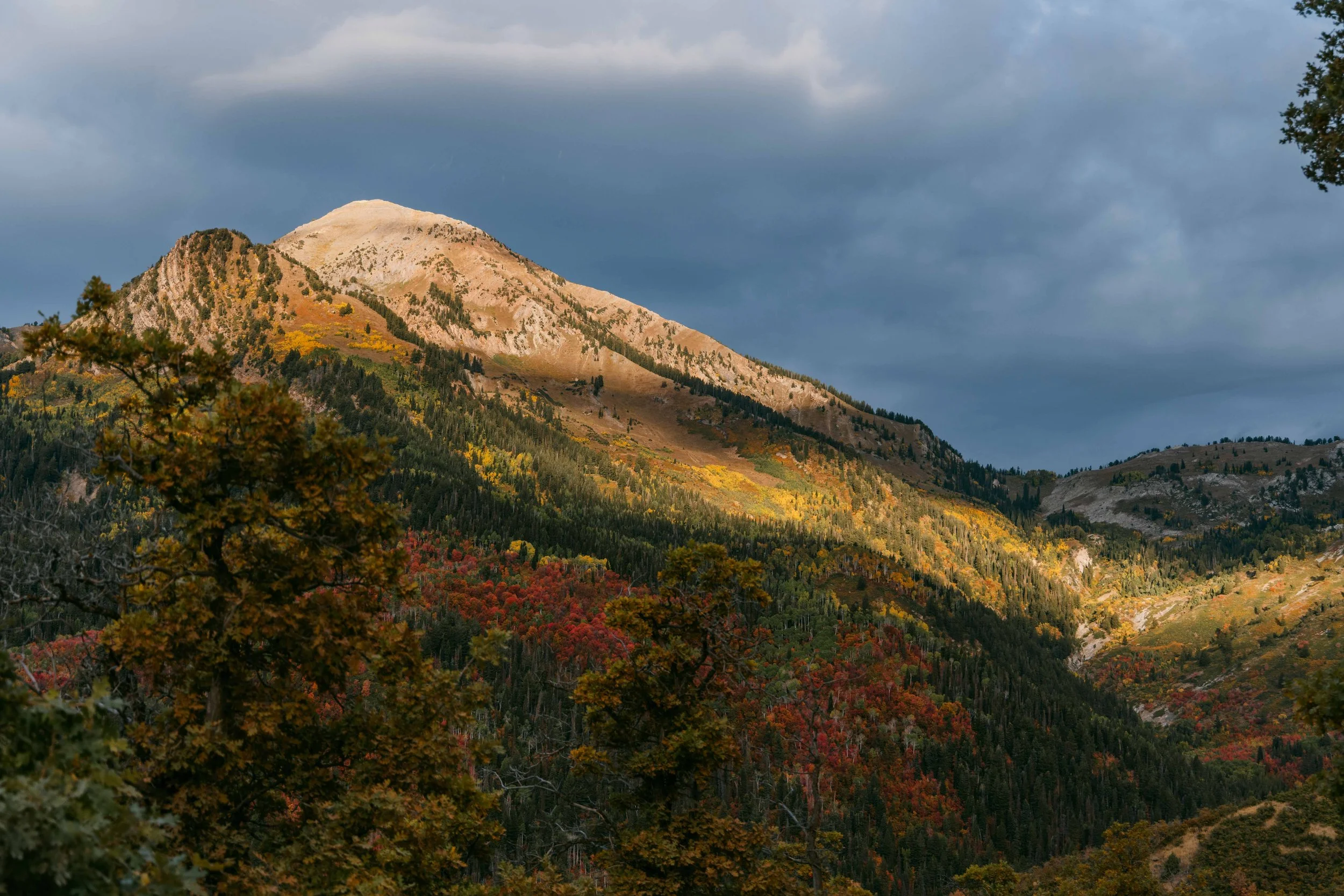 Scenic mountain landscape with colorful fall foliage in the foreground, a partly cloudy sky, and a mountain peak in the background.