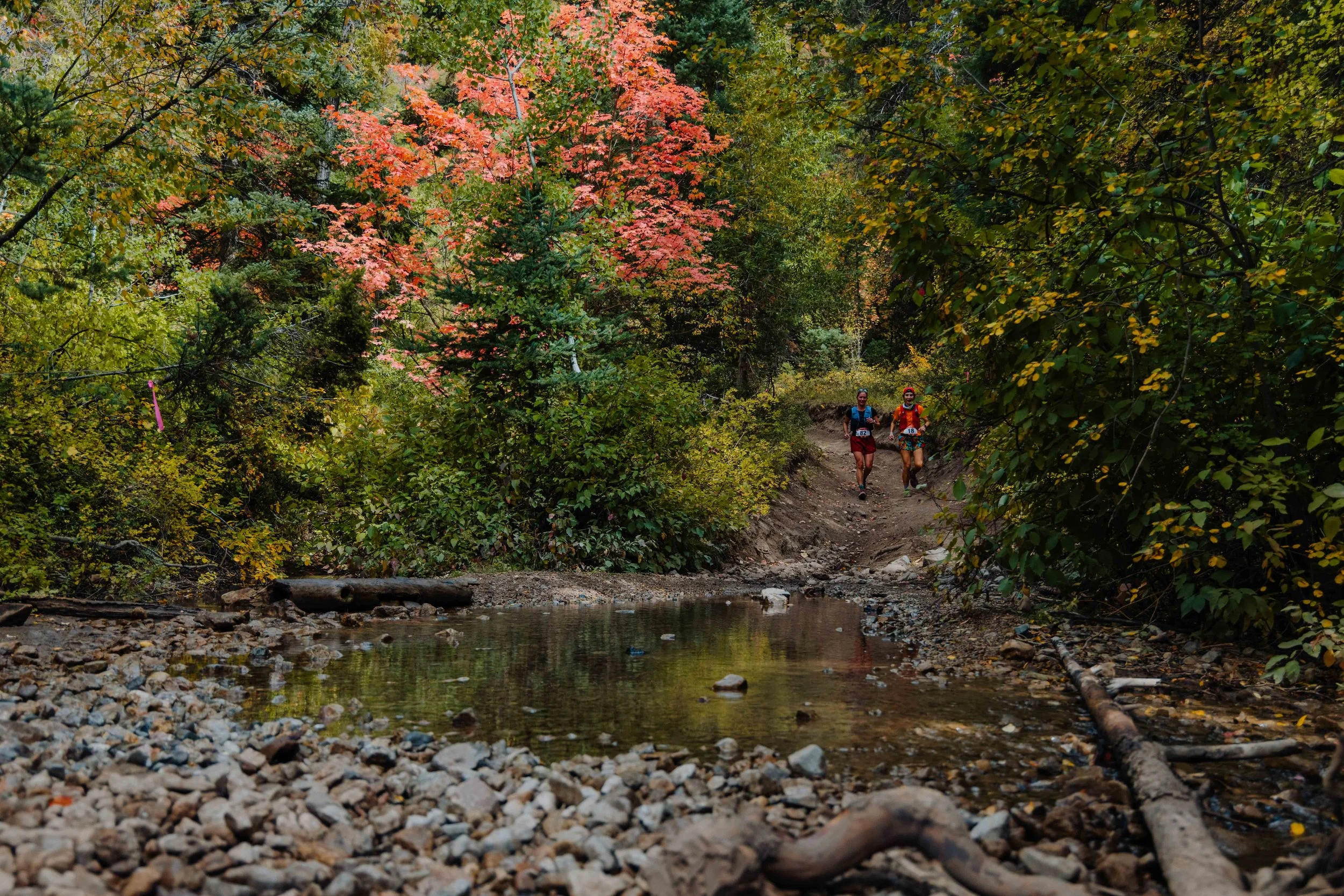 Homemade pork sausage made with jalapenos and cheddar