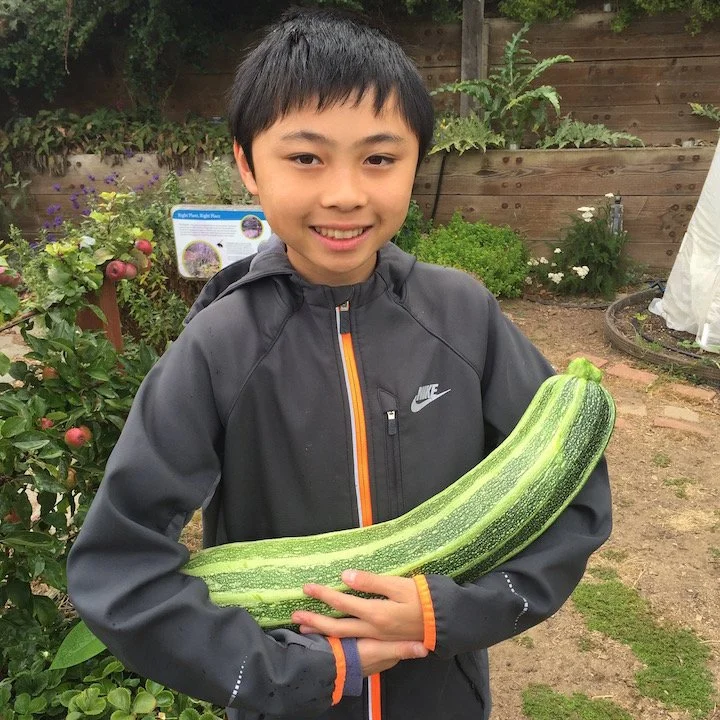 A young boy holding a large zucchini in a garden, smiling at the camera.