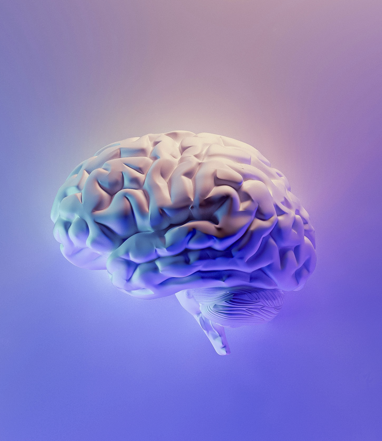 Digital rendering of a human brain with a gradient background of purple and blue hues.