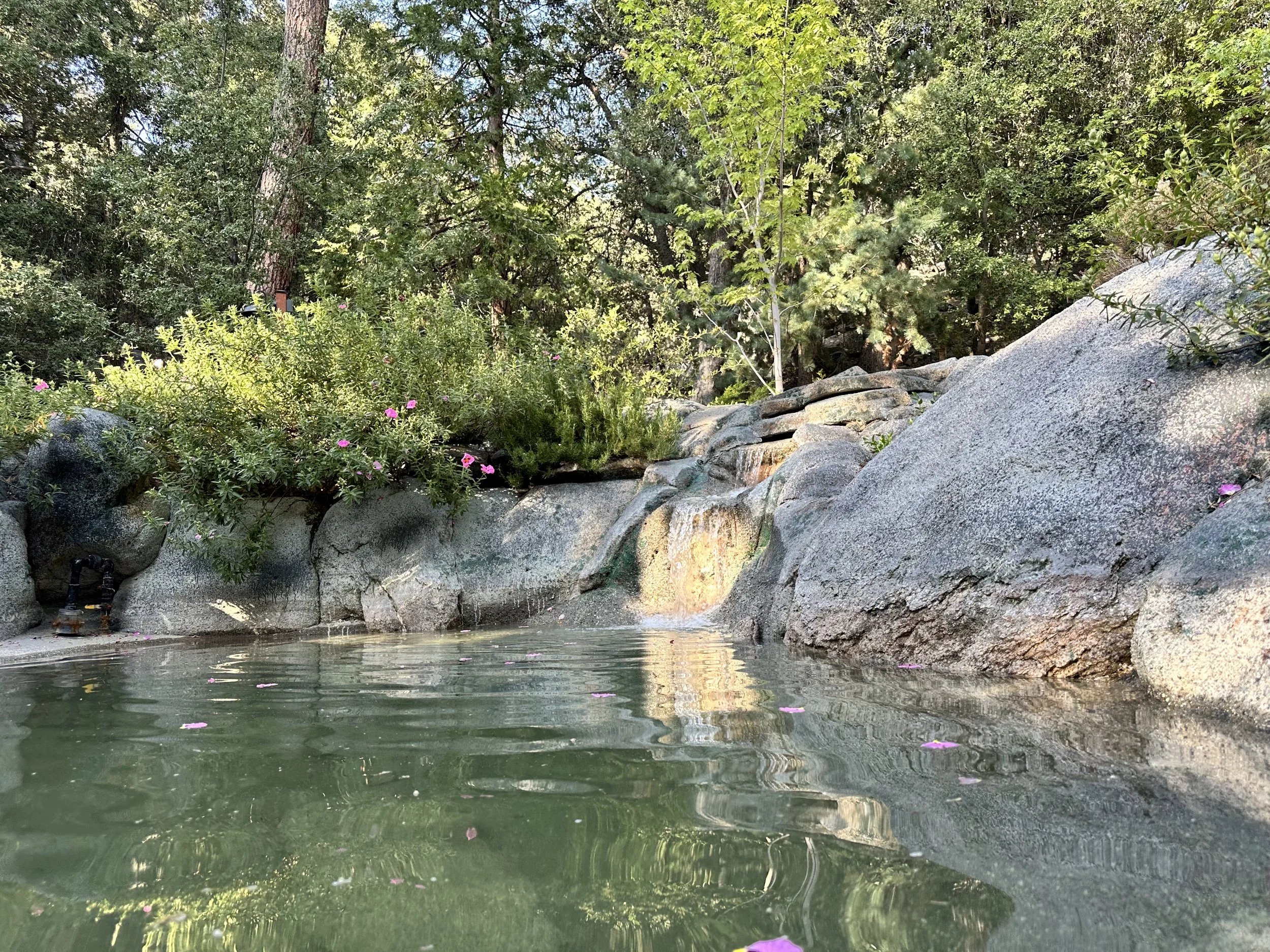 2025-05-28 17.28.41.jpg