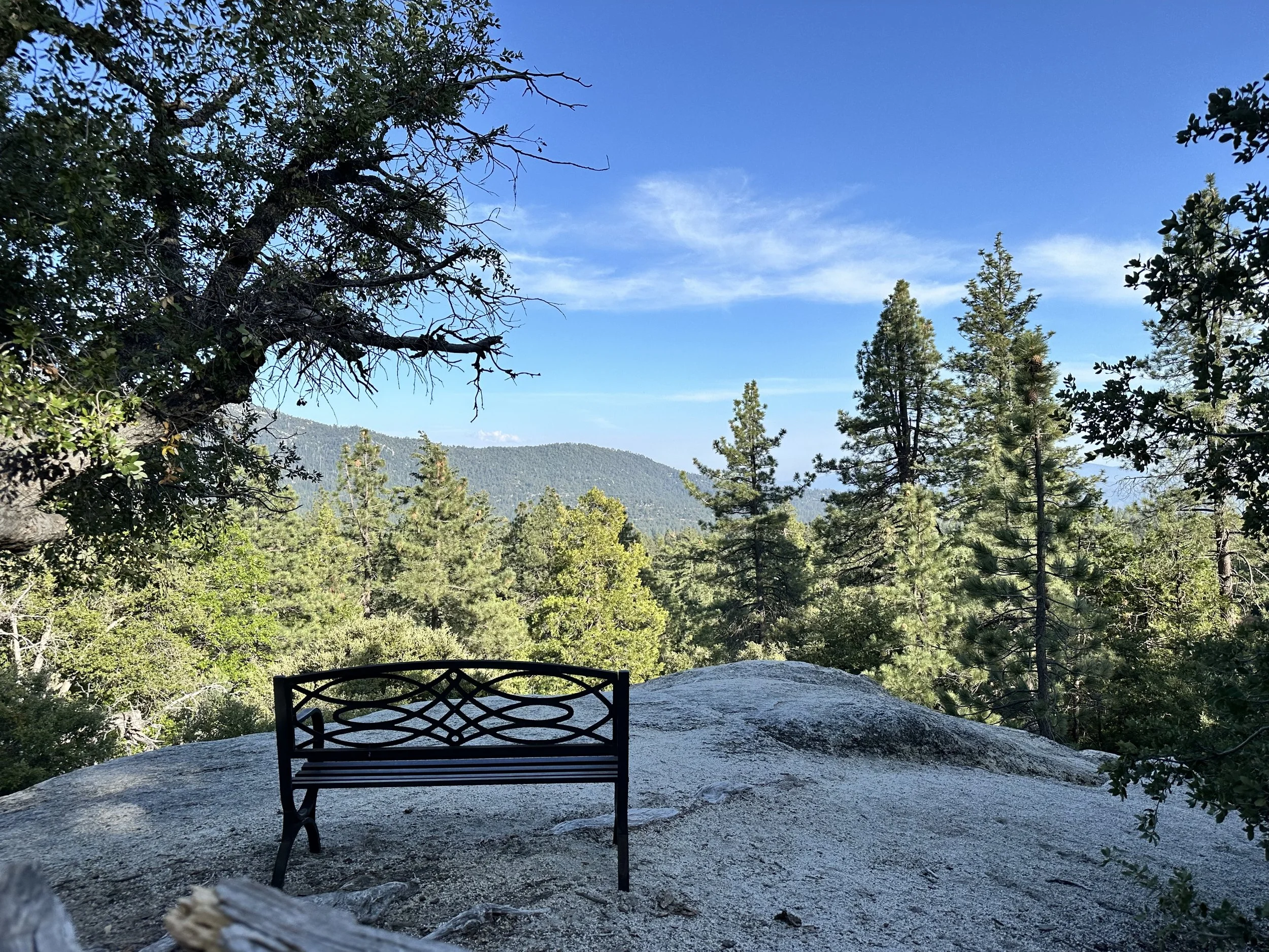 2025-05-28 17.43.13.jpg