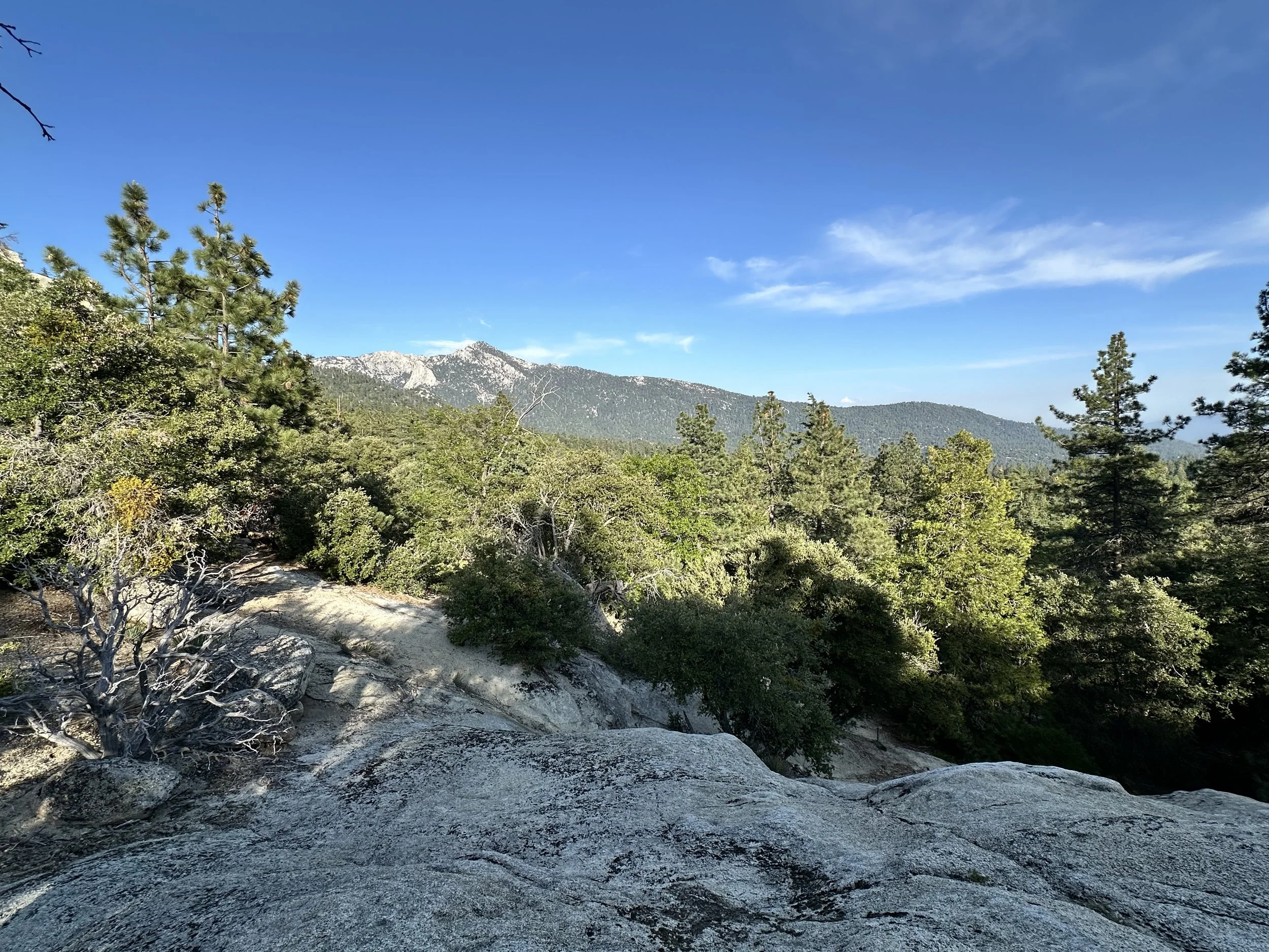 2025-05-28 17.48.02.jpg