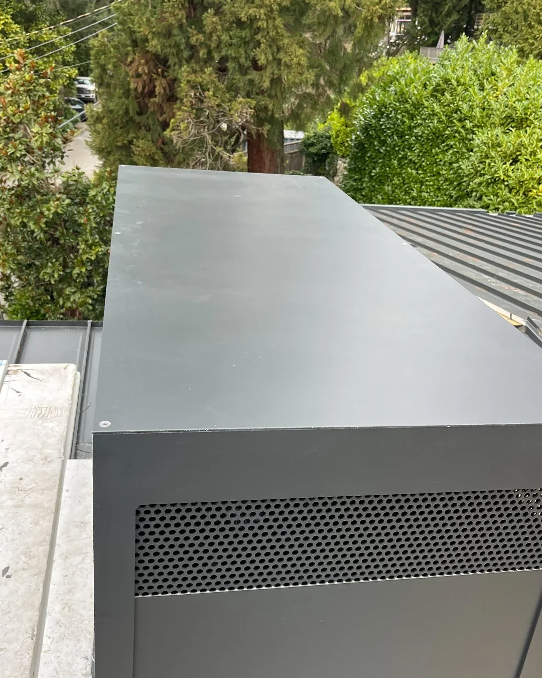 Protective chimney cap against debris Vancouver