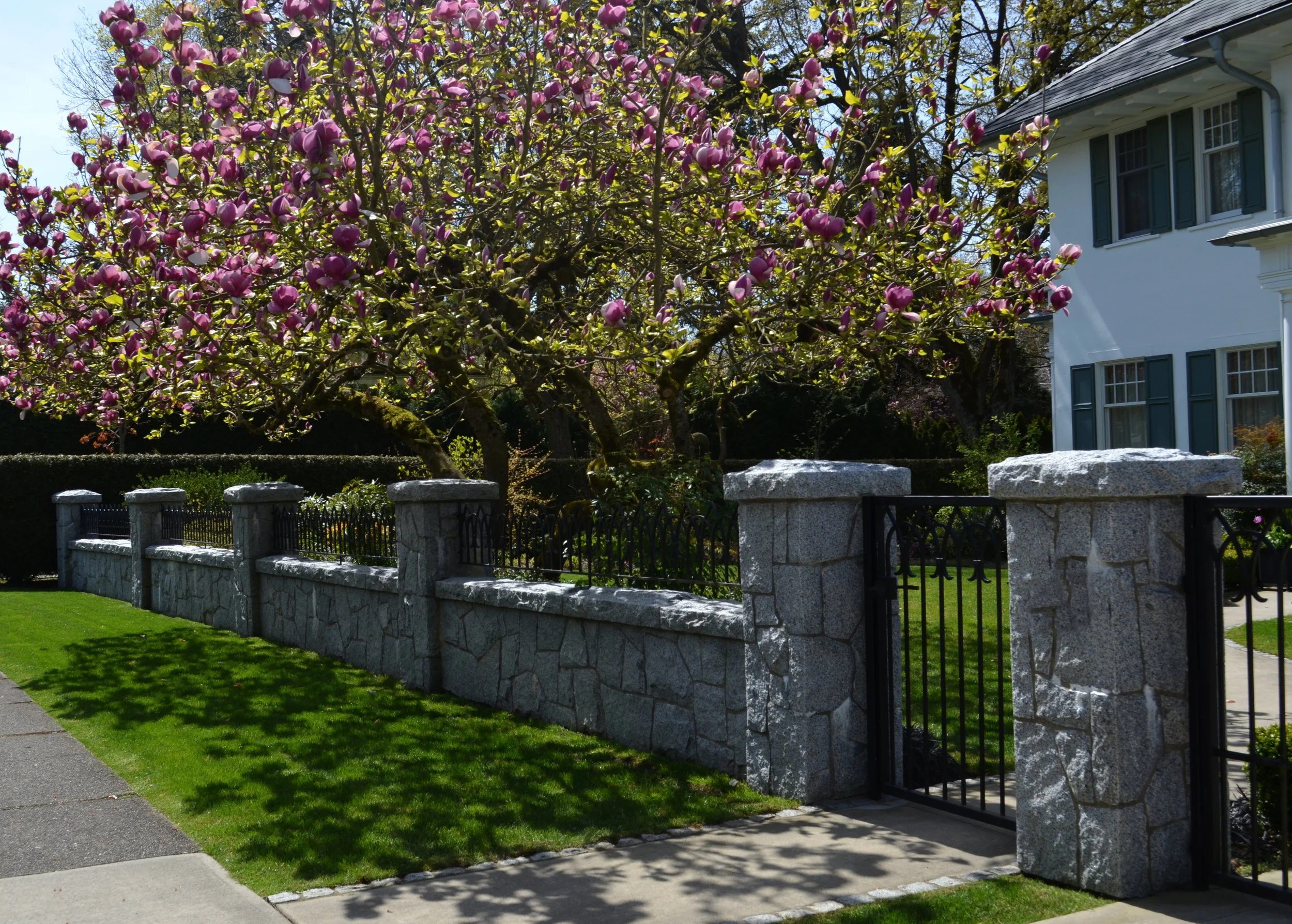 Fence  (55).JPG