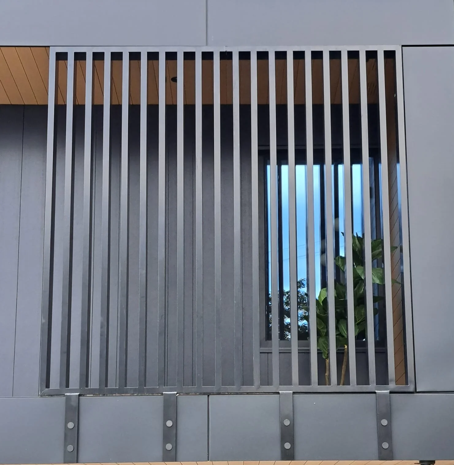 Privacy Screens